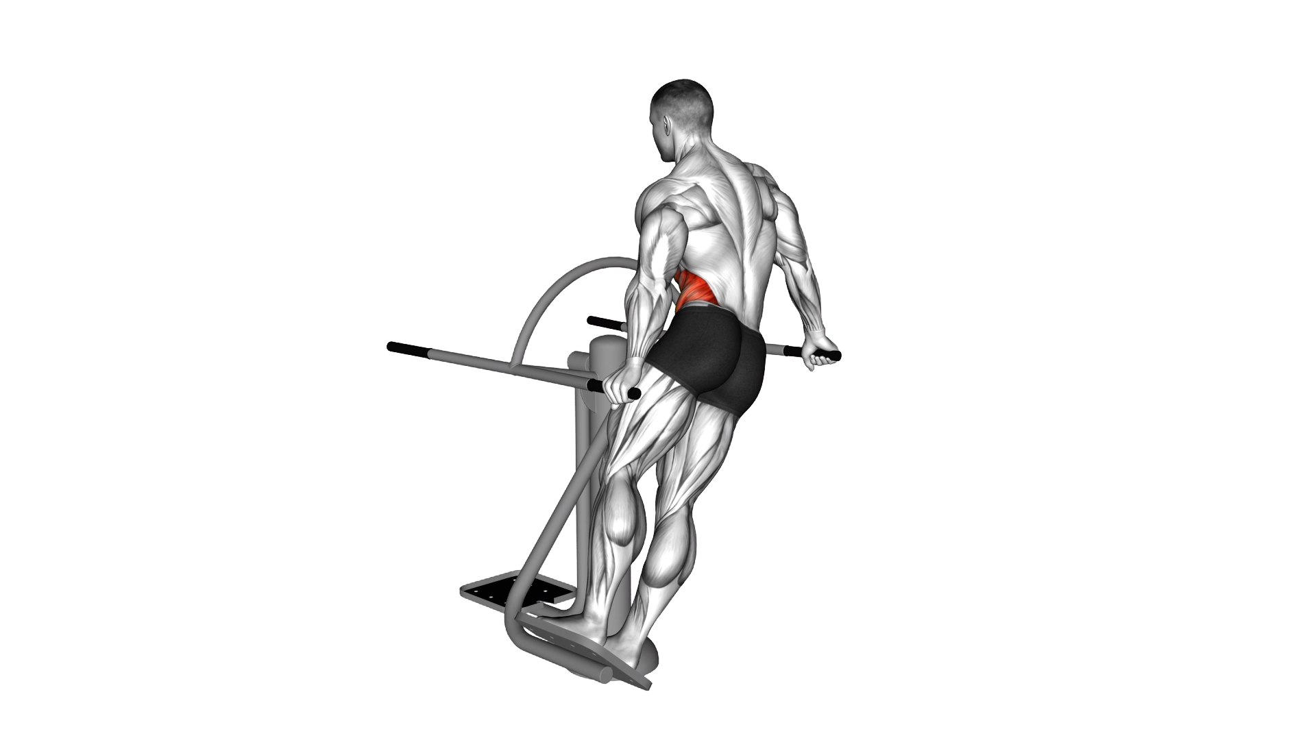 Lever Outdoor Side Surf exercise demonstration