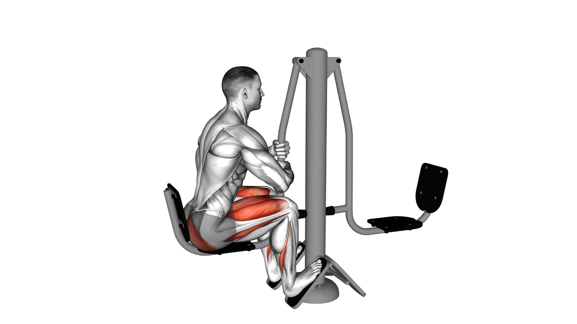Lever Outdoor Seated Leg Press exercise demonstration