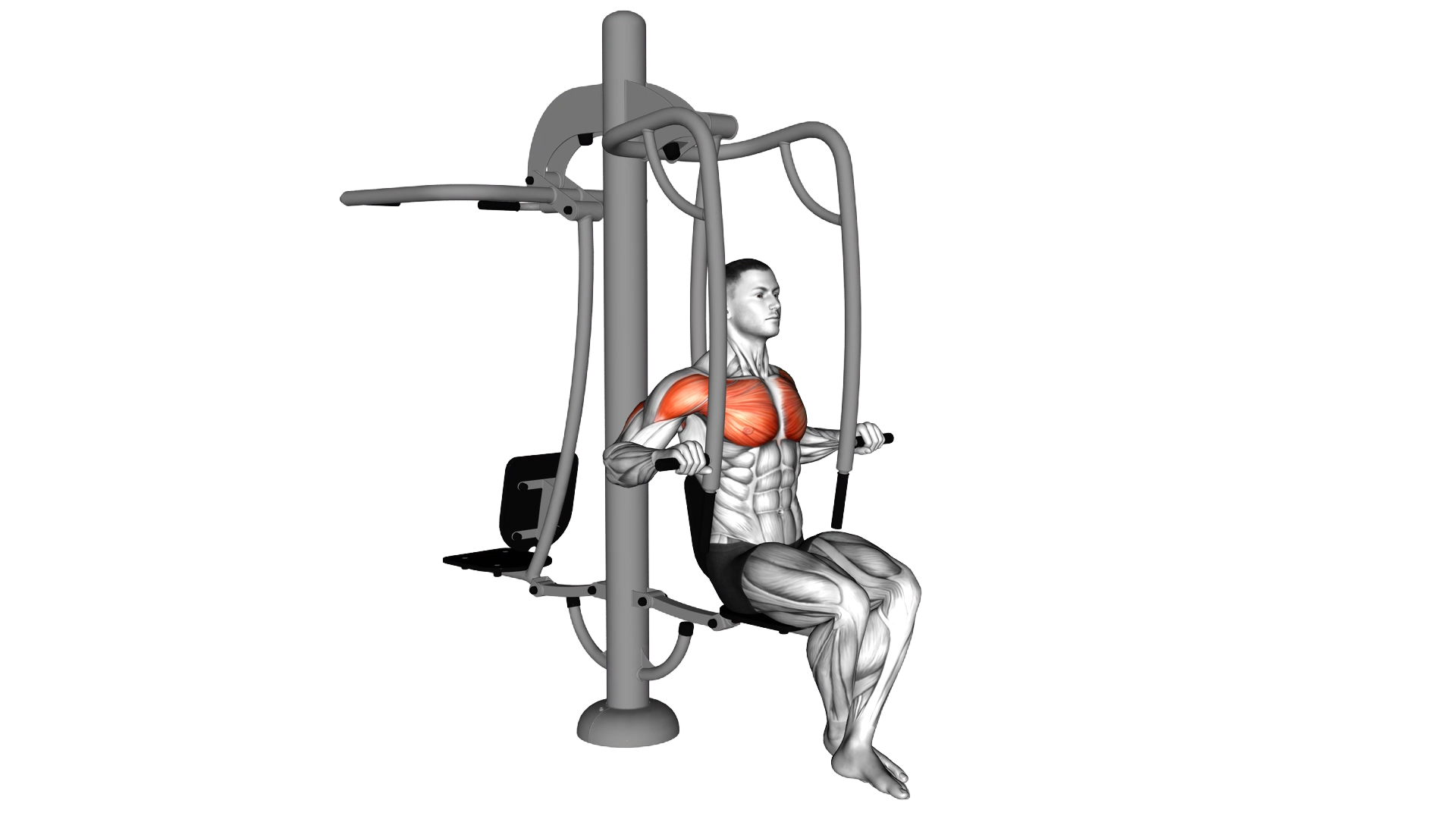 Lever Outdoor Seated Chest Press exercise demonstration