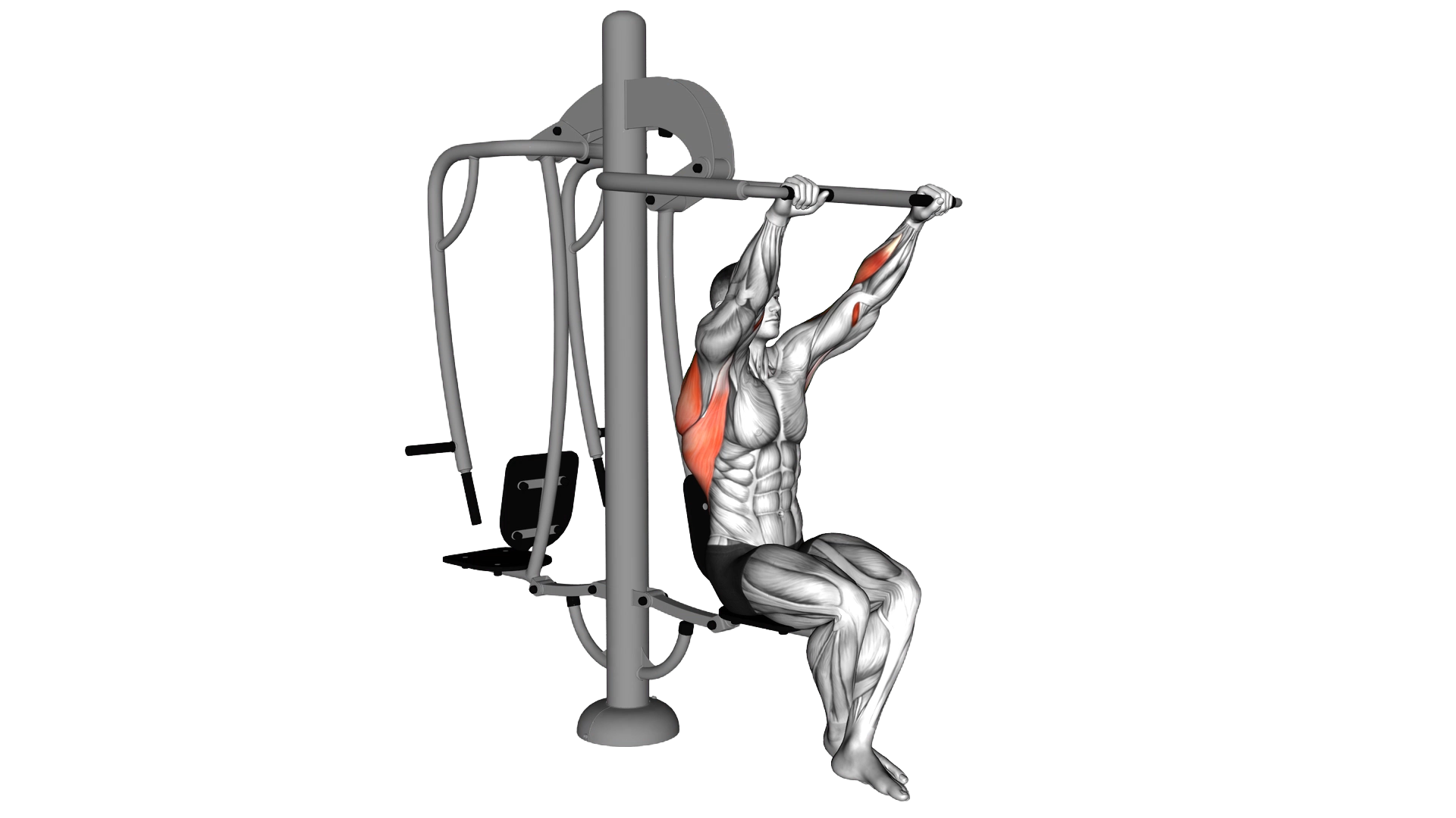 Lever Outdoor Seated Lat Pulldown exercise demonstration