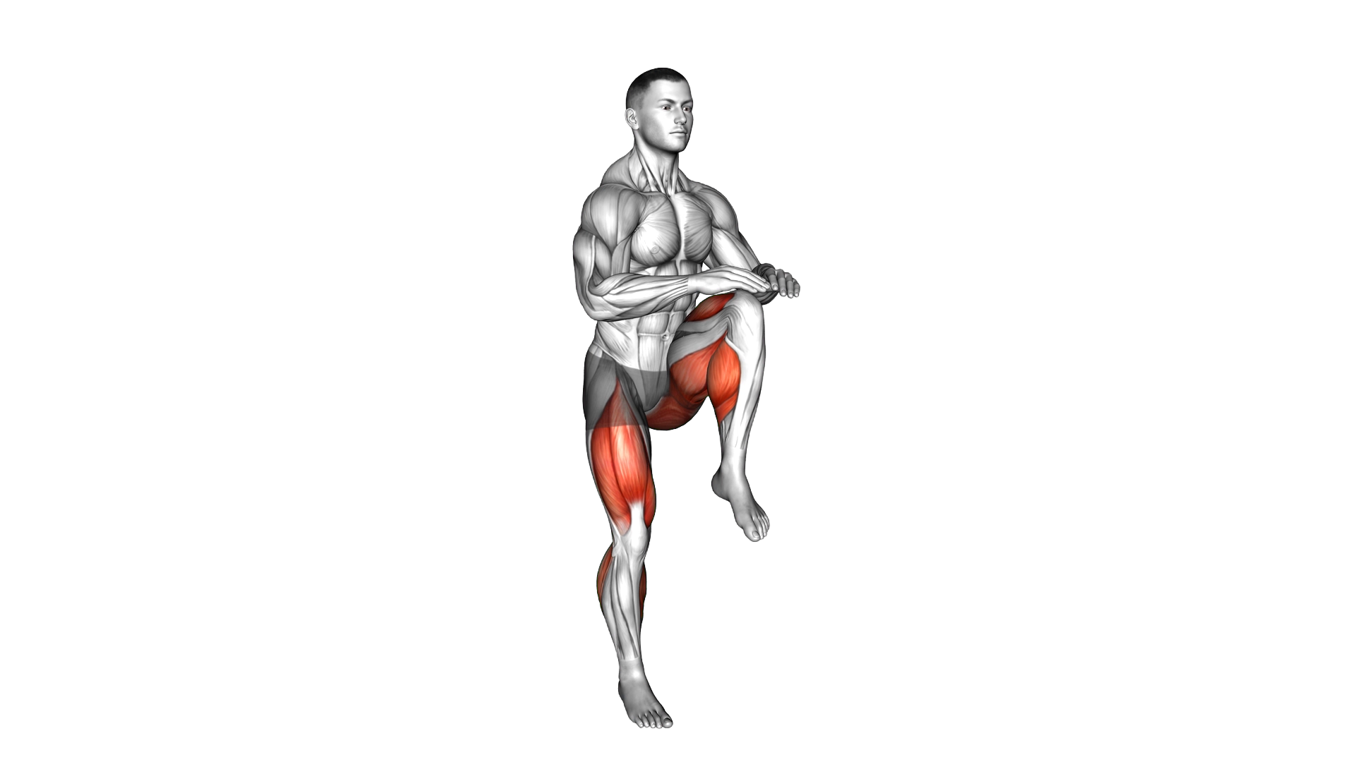 High Knee Run exercise demonstration