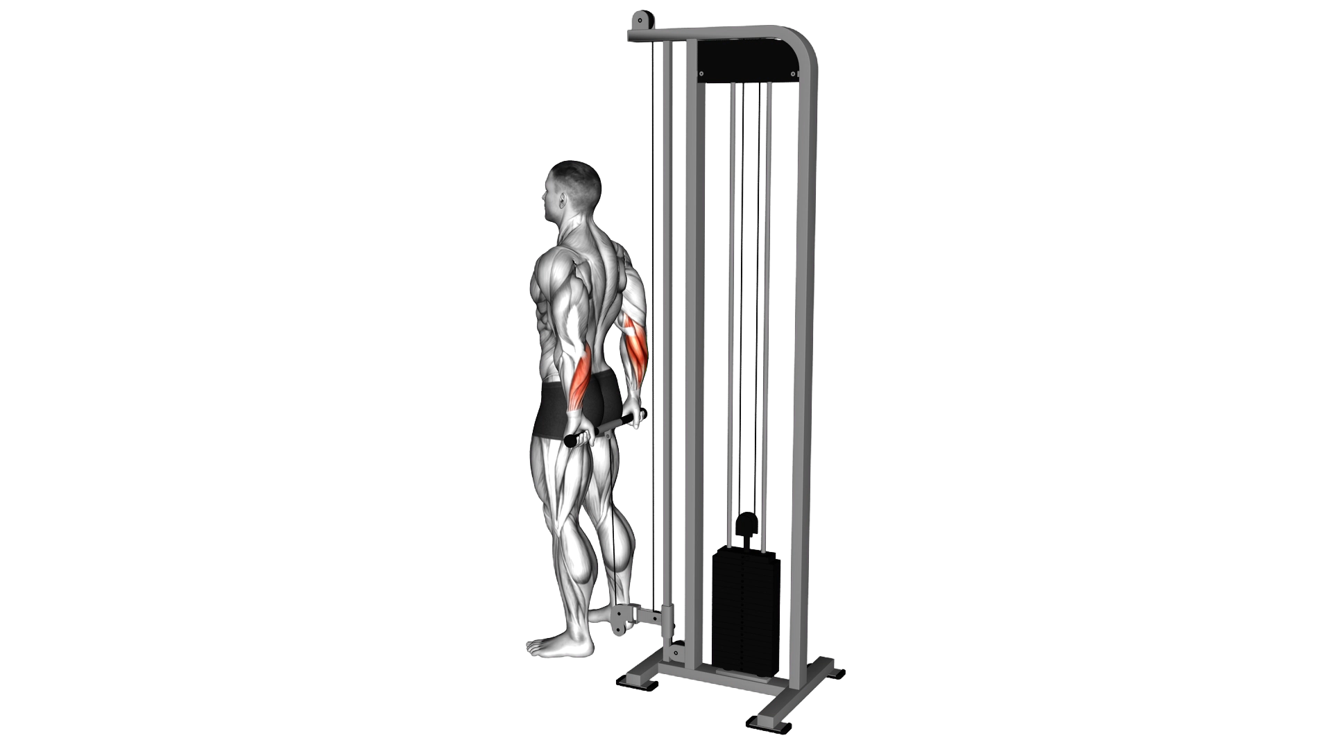 Cable Standing Back Wrist Curl exercise demonstration