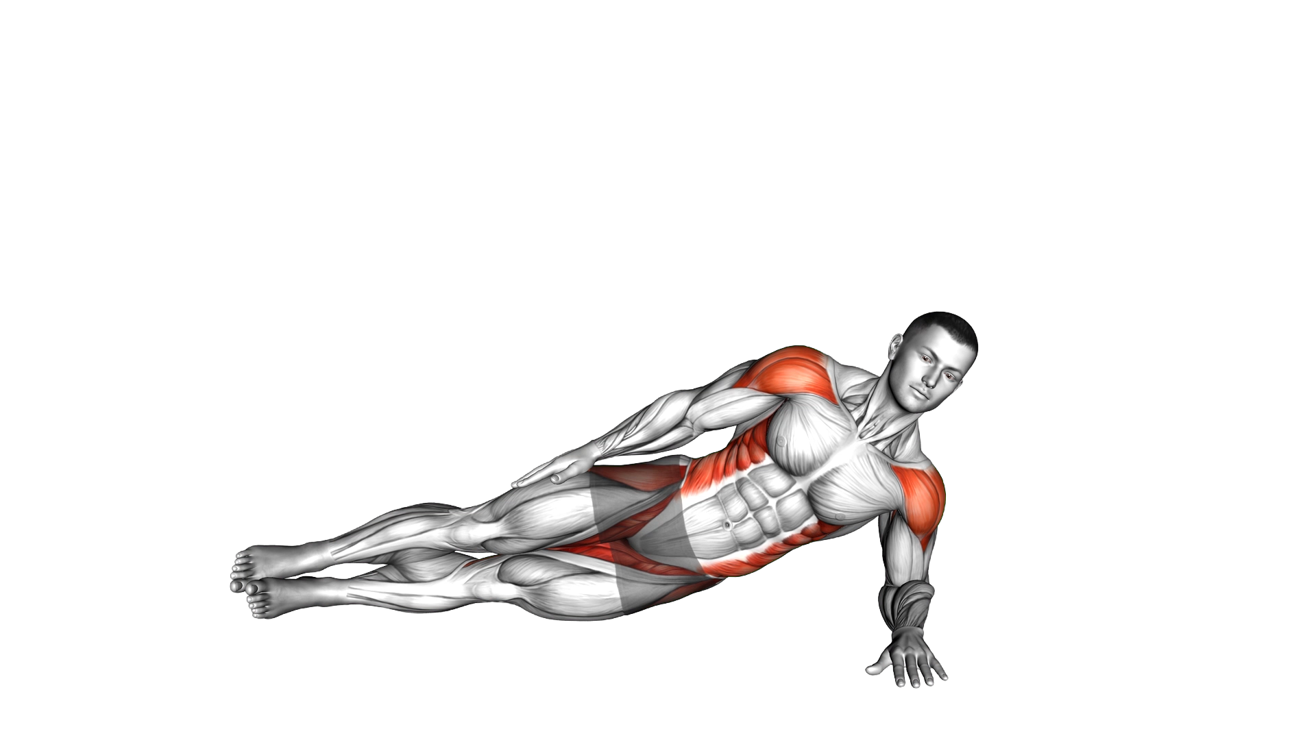 Side Plank Plus exercise demonstration