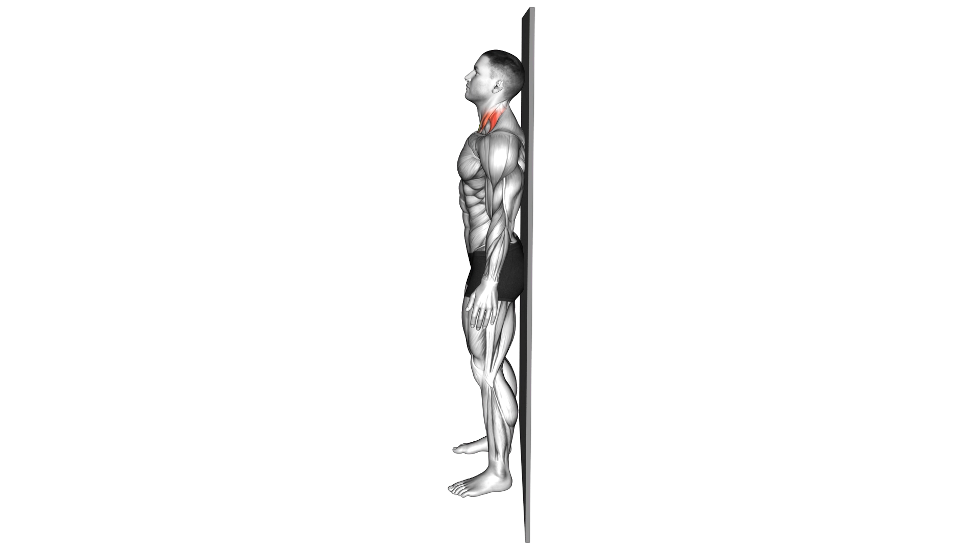 Chin Tuck against the Wall exercise demonstration