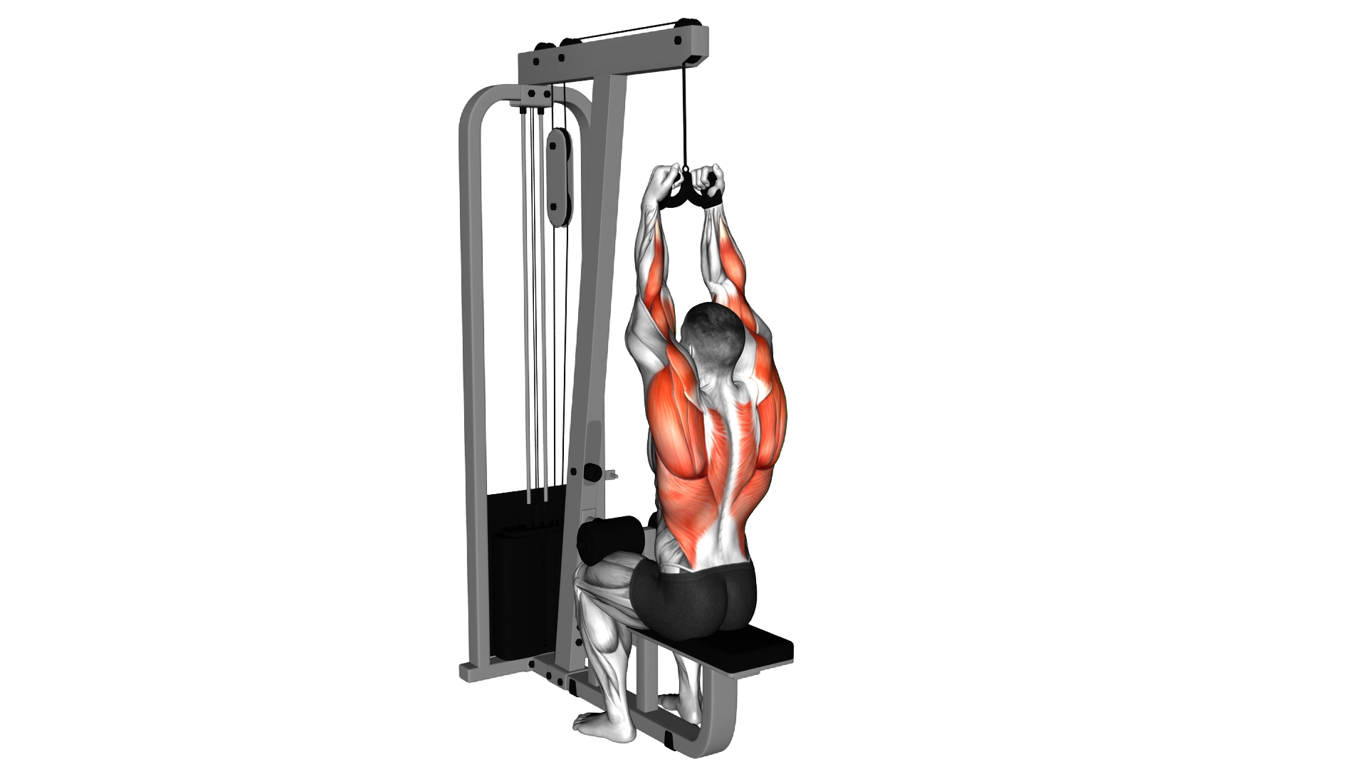 Cable Lateral Pulldown with Mag Grip exercise demonstration