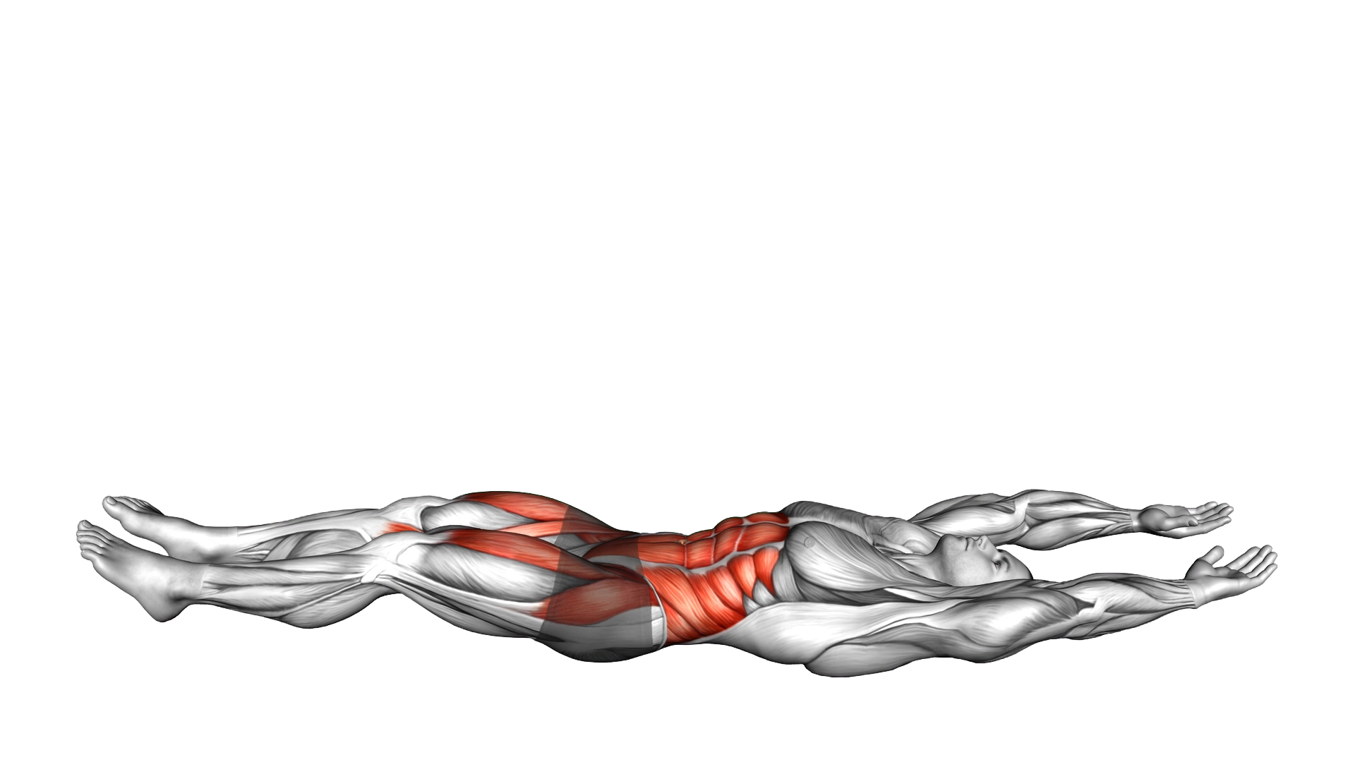 Lying Tuck Up Knee Tap exercise demonstration