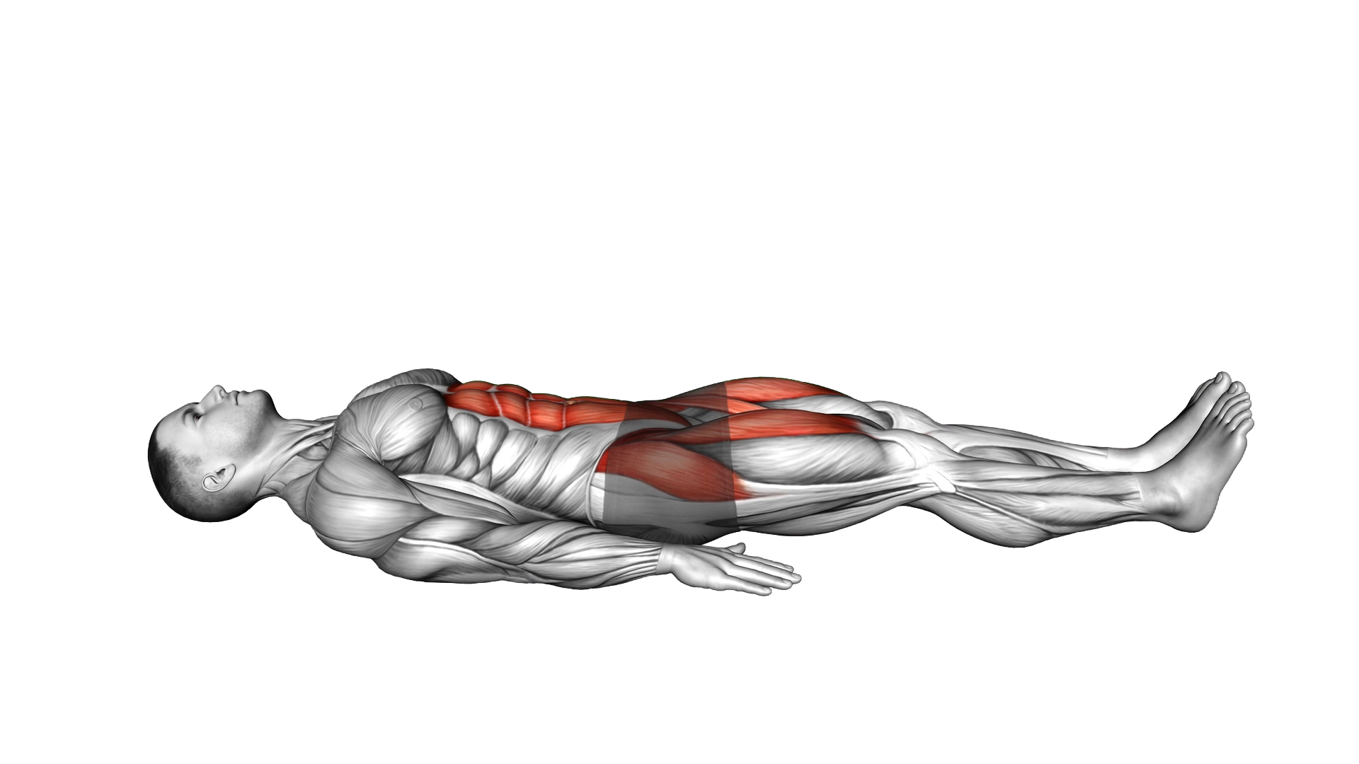 Lying Alternate Leg Extension exercise demonstration