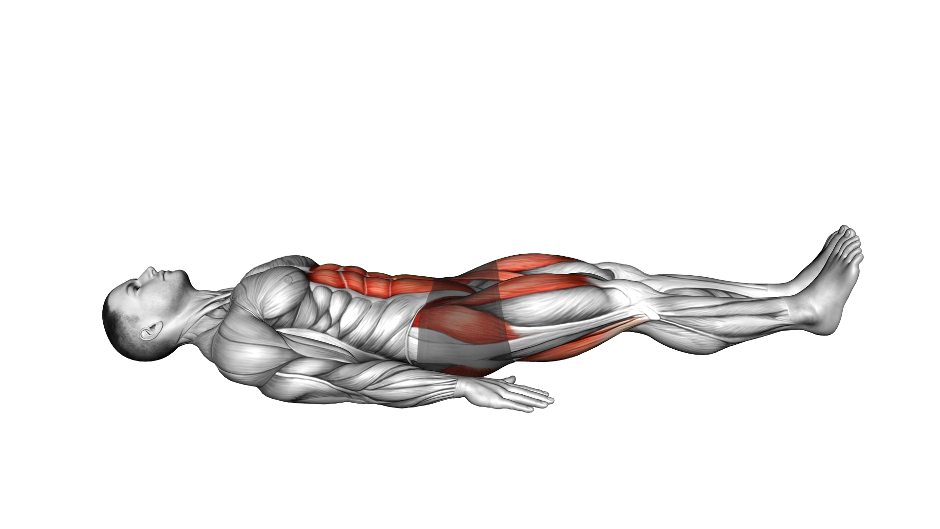 Lying Reverse Leg Extension exercise demonstration