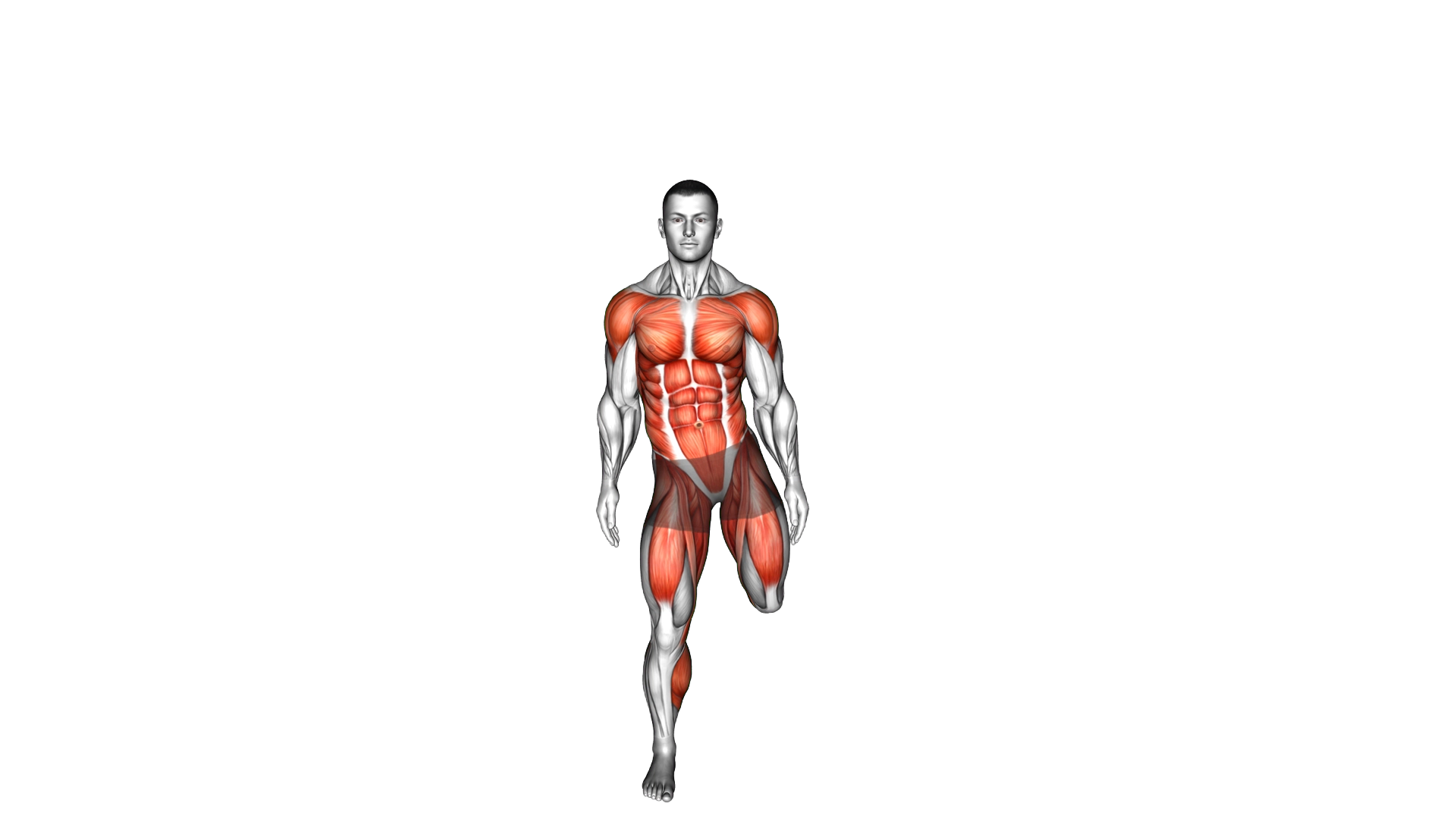 Back Leg Lift Jack exercise demonstration