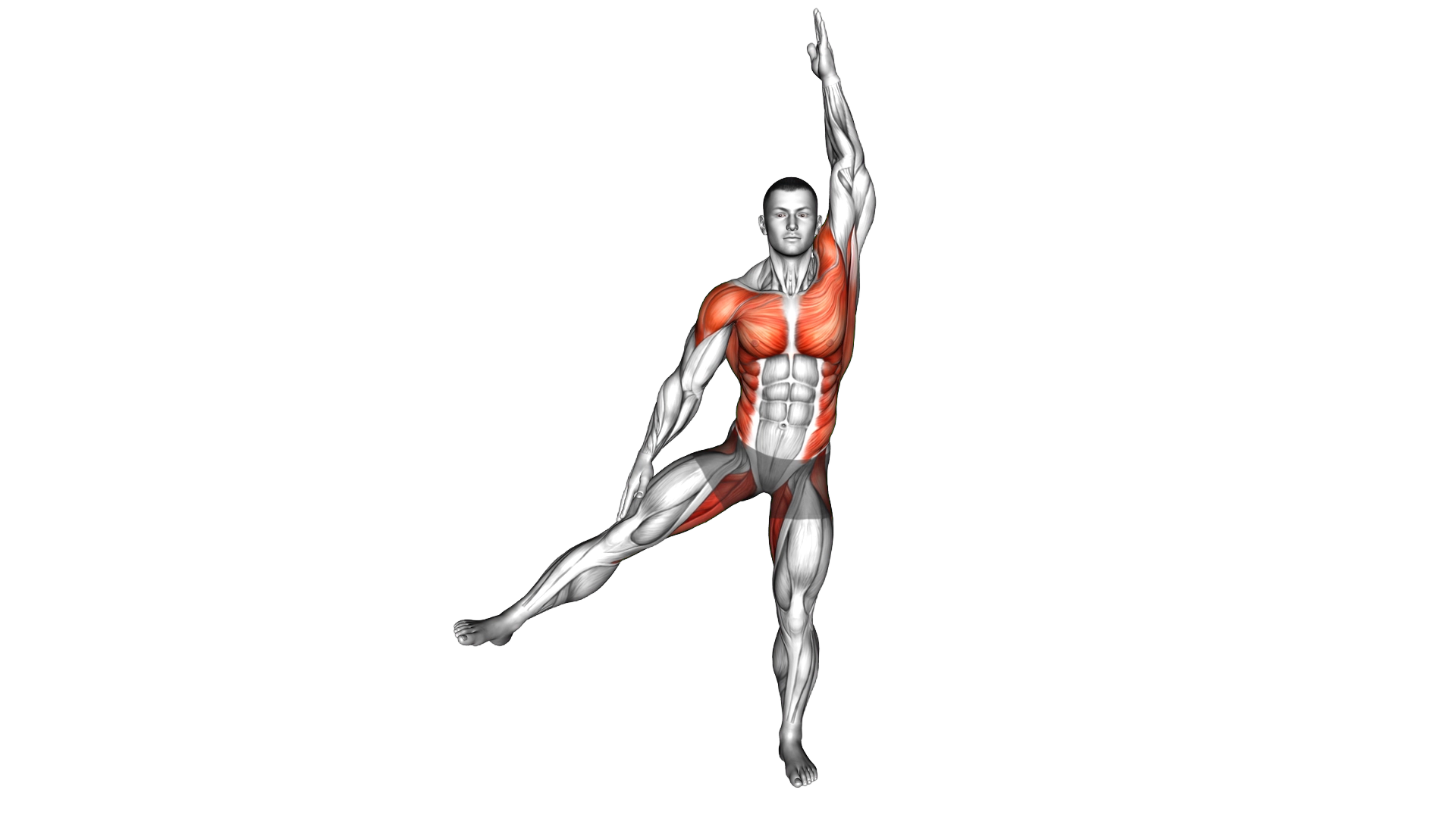 Side Leg Raise Jack exercise demonstration