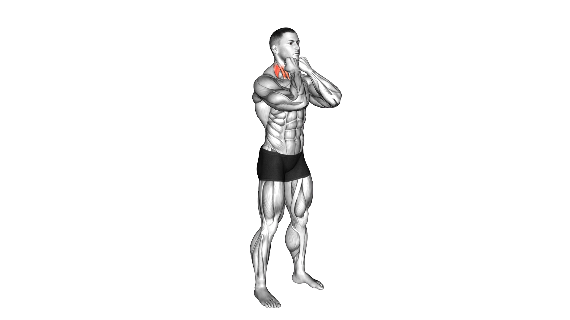5 Sec Fist Against Chin exercise demonstration