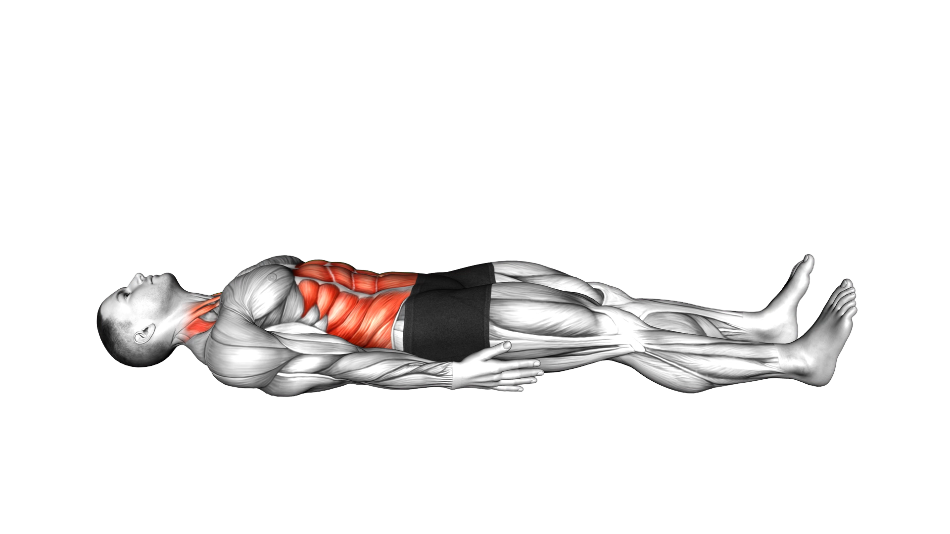 Lying Chin Tuck Raise exercise demonstration