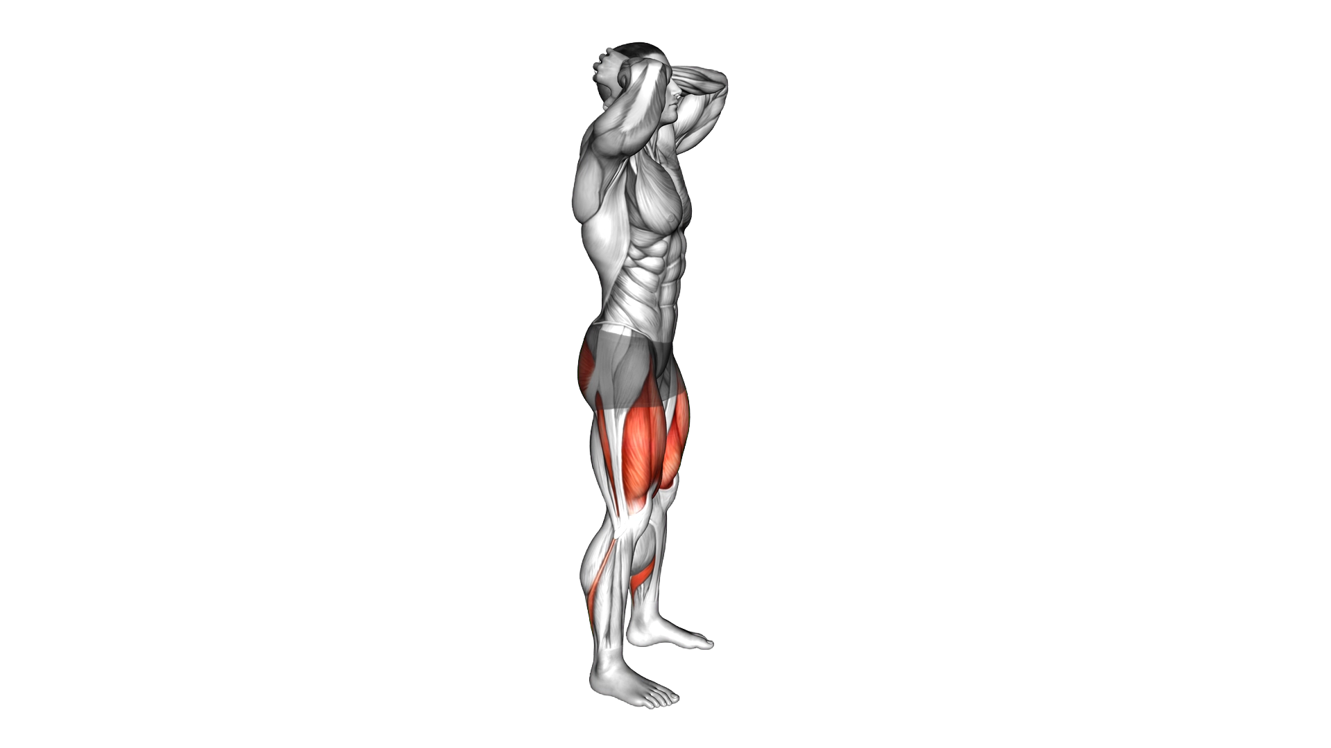 Bodyweight Deep Prisoner Squat exercise demonstration
