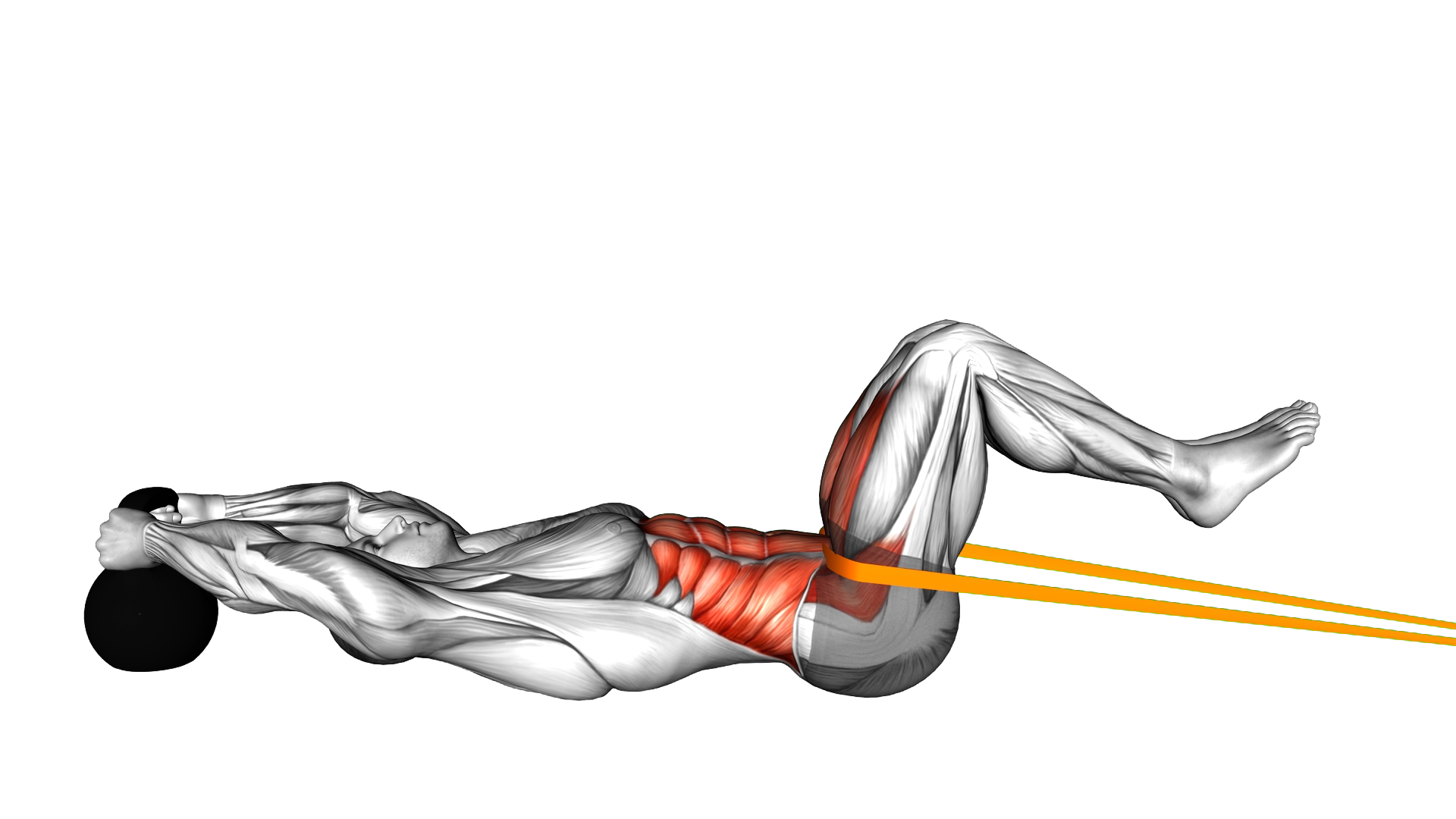 Resistance Band Reverse Crunch exercise demonstration