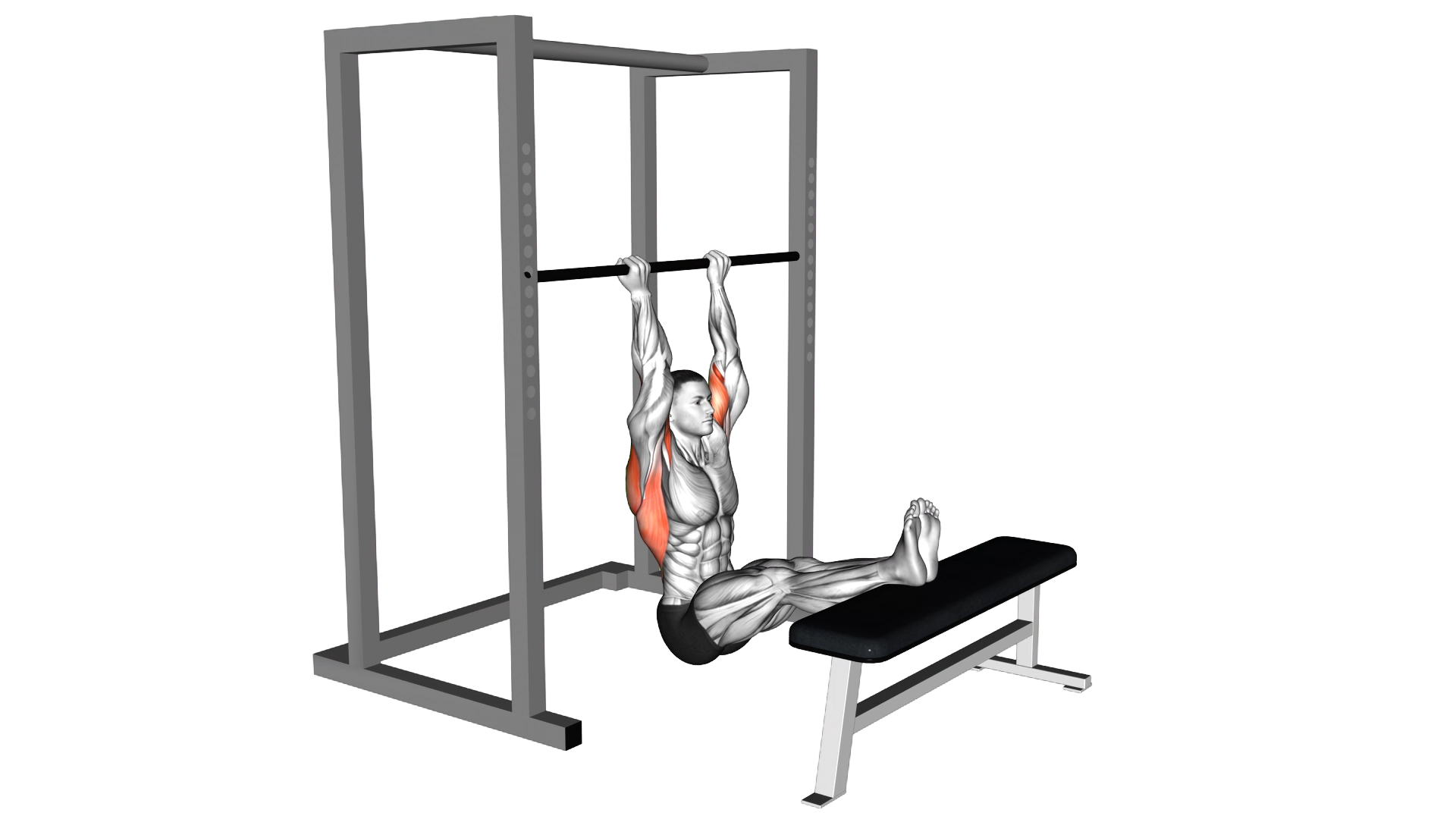 Seated Chin Up (legs elevated) exercise demonstration