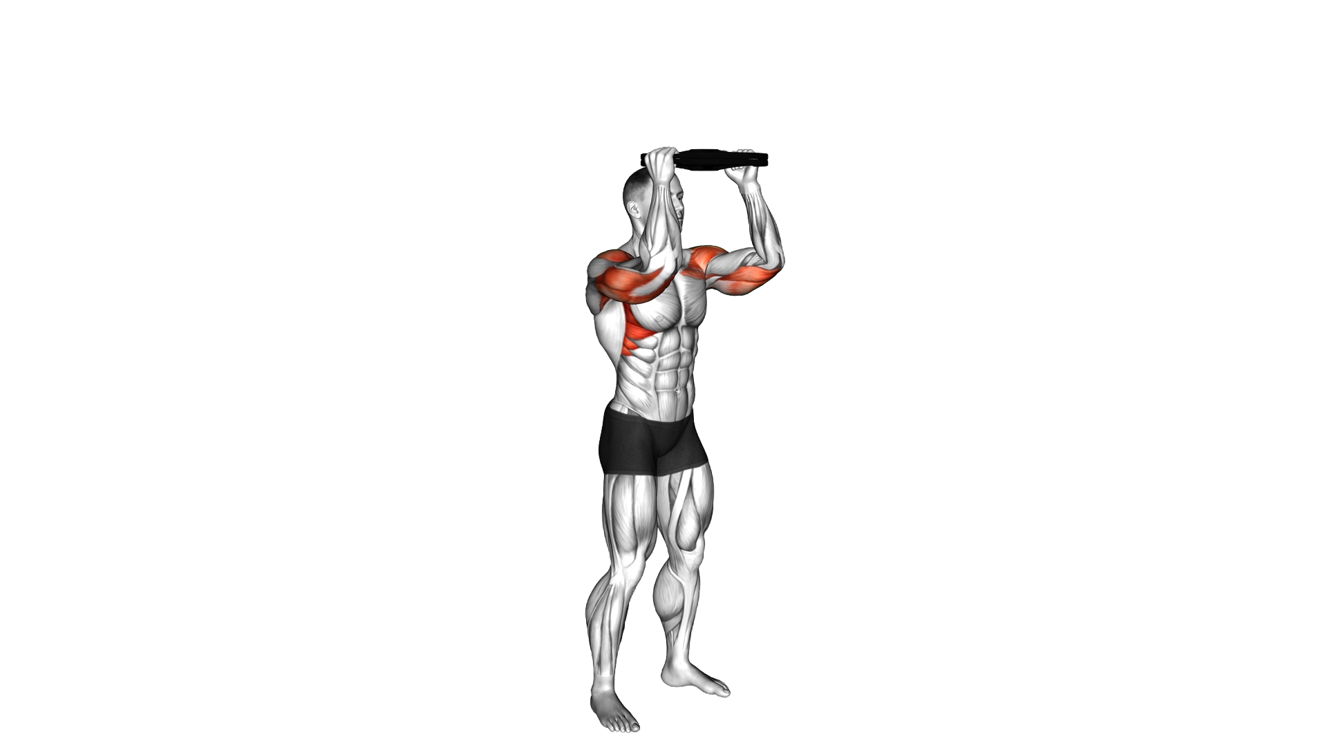 Weighted Plate Standing Overhead Press exercise demonstration