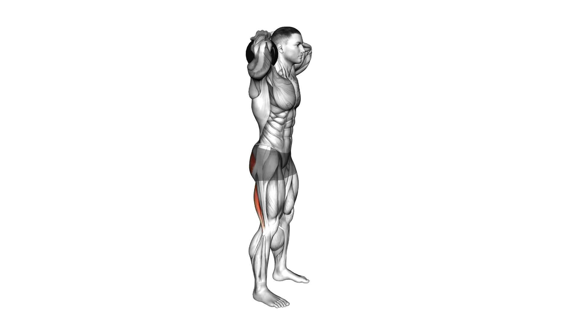 Dumbbell Good Morning exercise demonstration