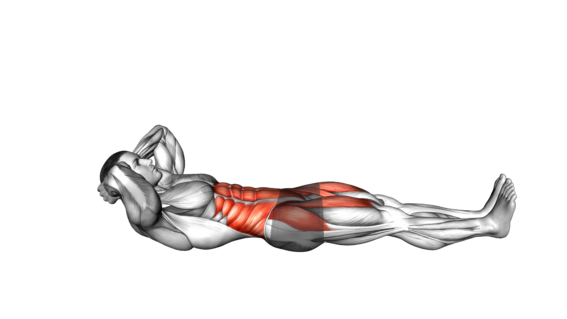 Lying Knee Tuck exercise demonstration