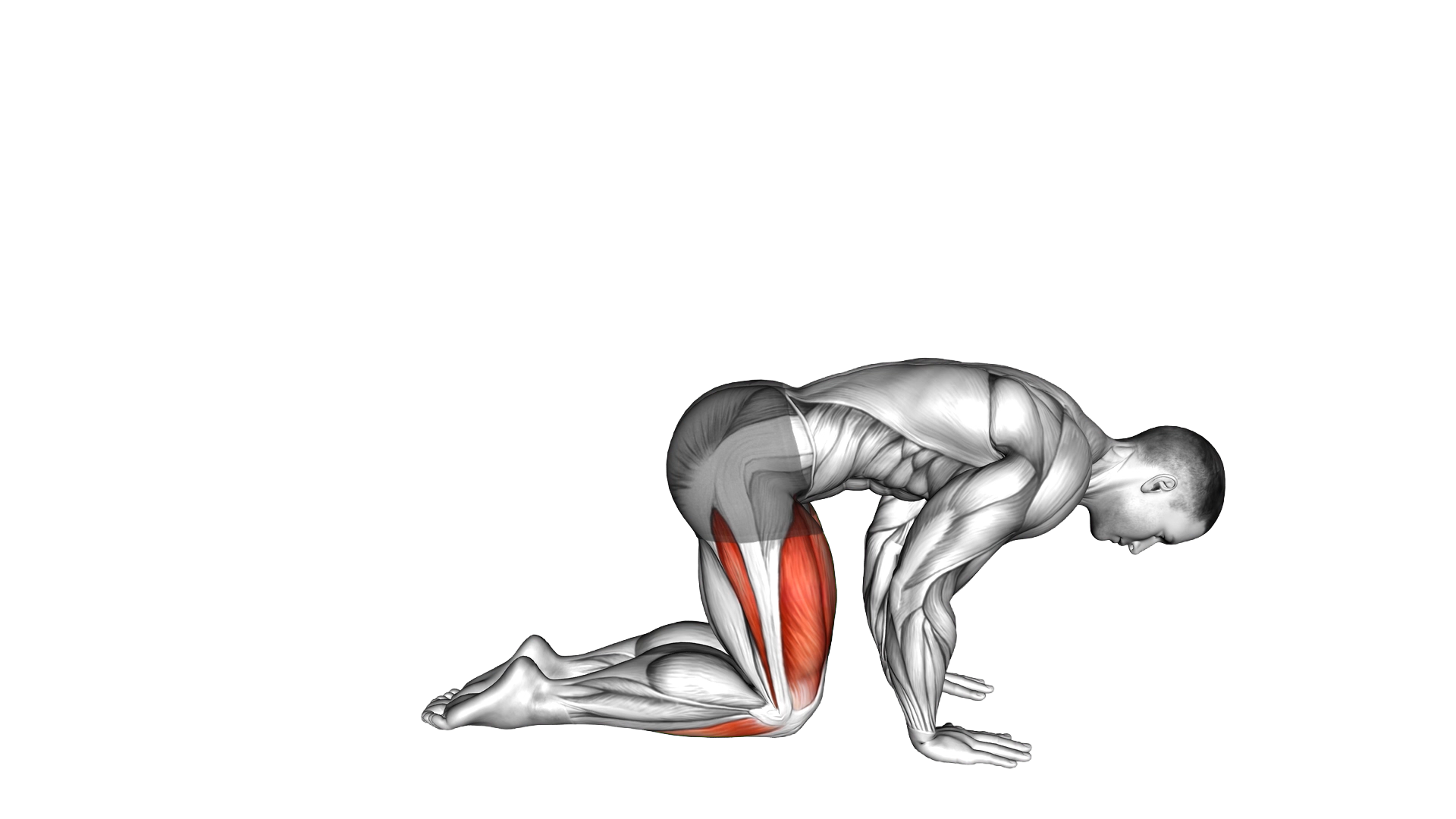 Yoga Vajrasana Thunderbolt Diamond Pose exercise demonstration