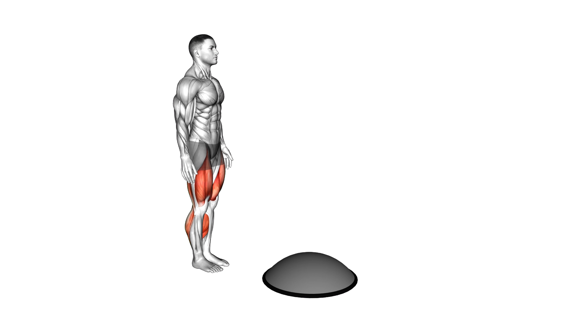 Bosu Ball Step up High Knee exercise thumbnail