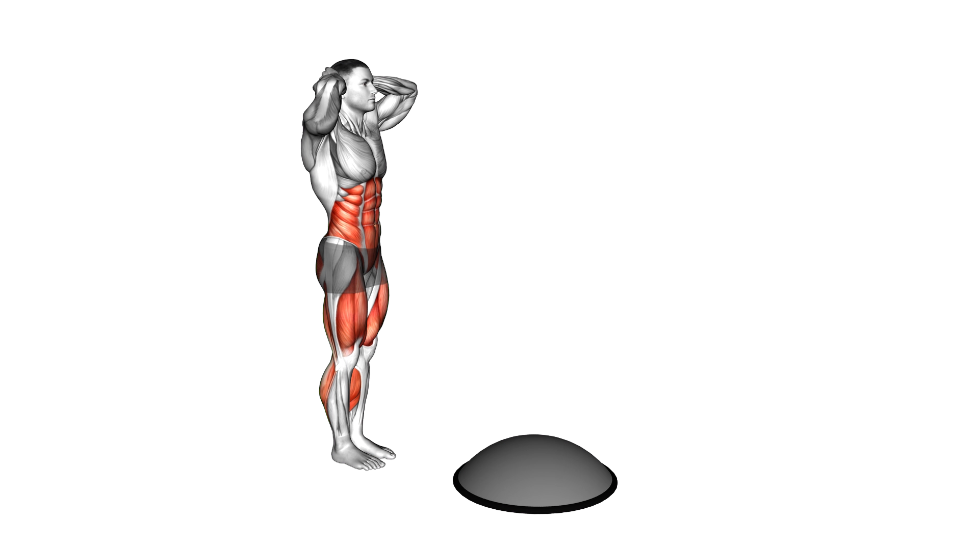 Bosu Ball Step up High Knee Air Twist exercise demonstration