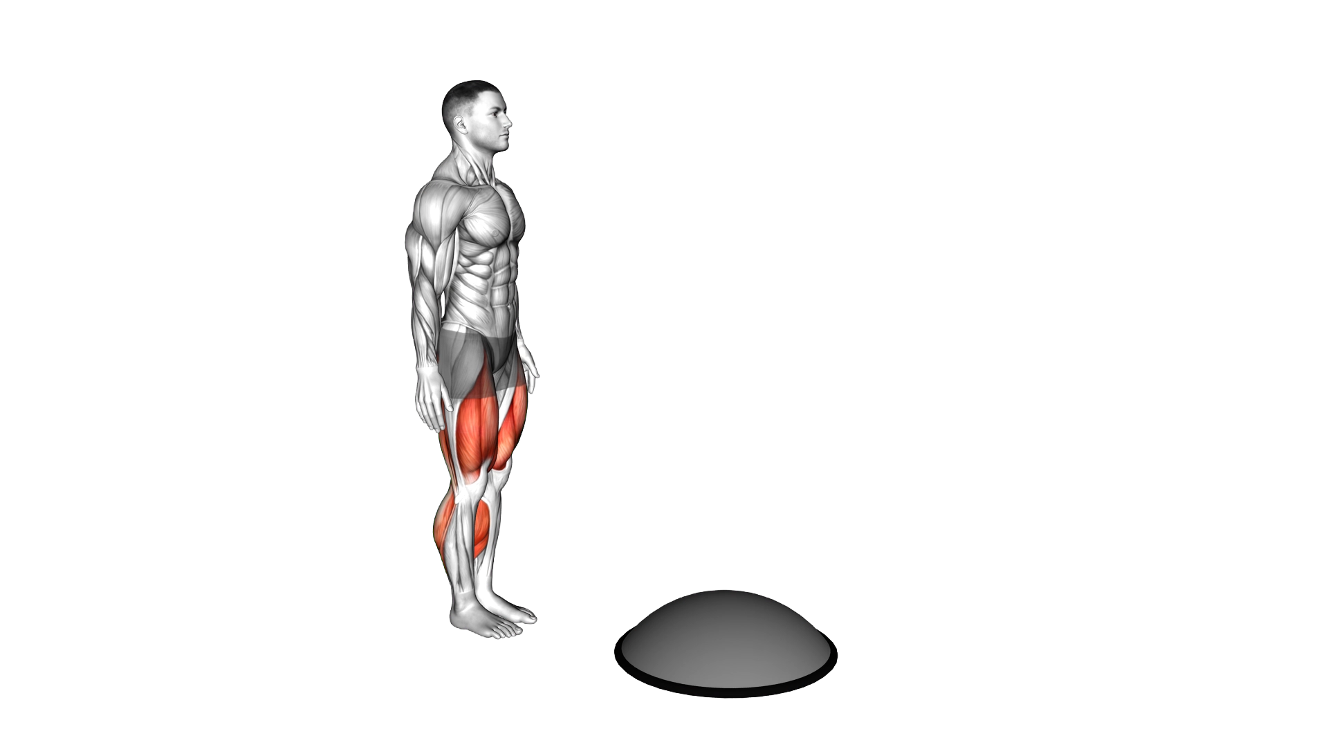 Bosu Ball Step up Single Leg Deadlift exercise thumbnail