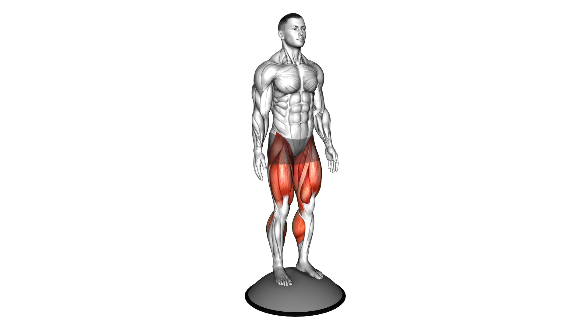 Bosu Ball Alternate Heel Touch Side Kick Squat exercise thumbnail