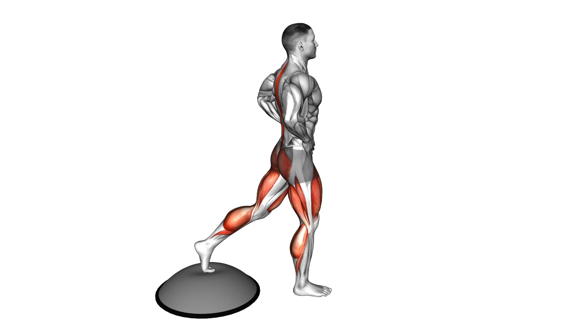 Bosu Ball Single Leg Good Morning exercise demonstration