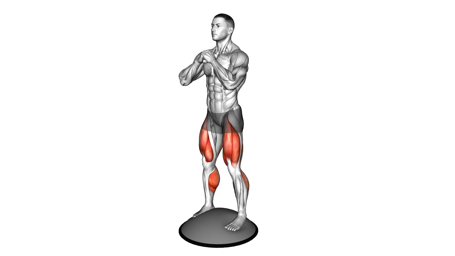 Bosu Ball Goblet Squat exercise demonstration