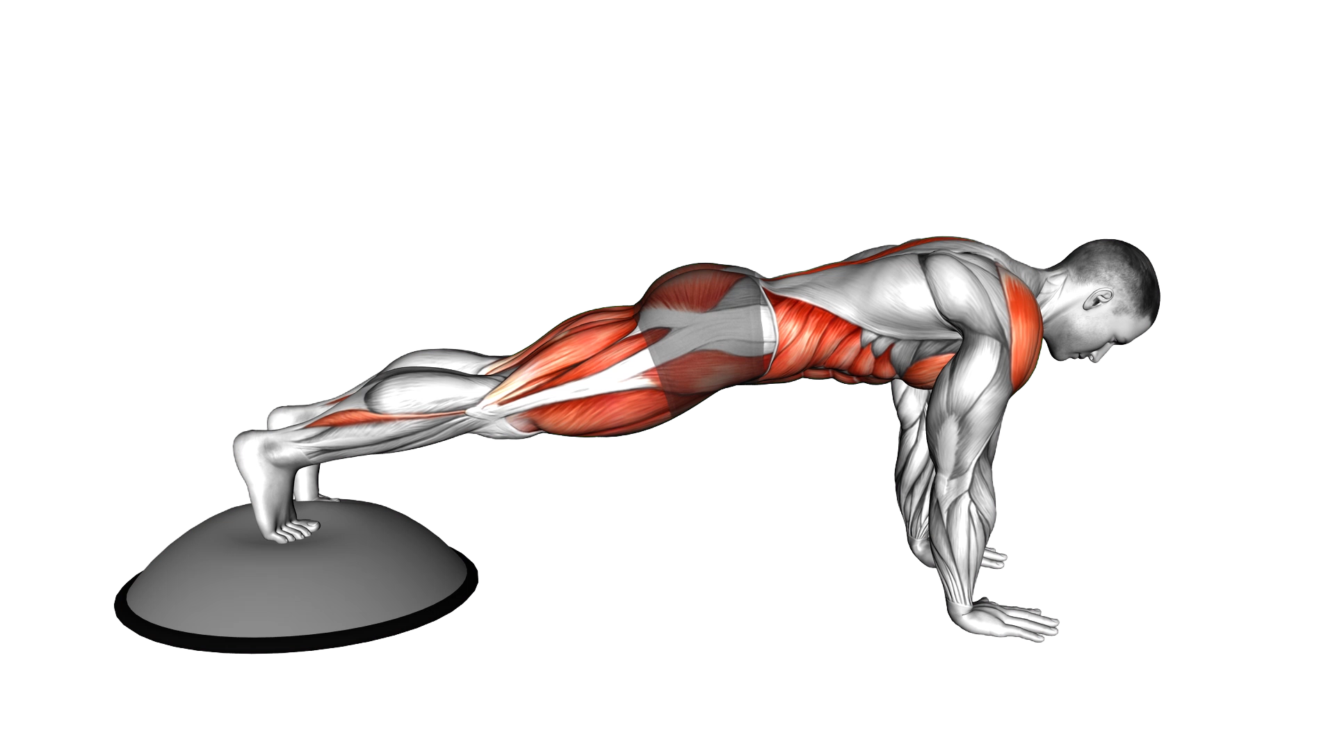 Bosu Ball Mountain Climber exercise thumbnail