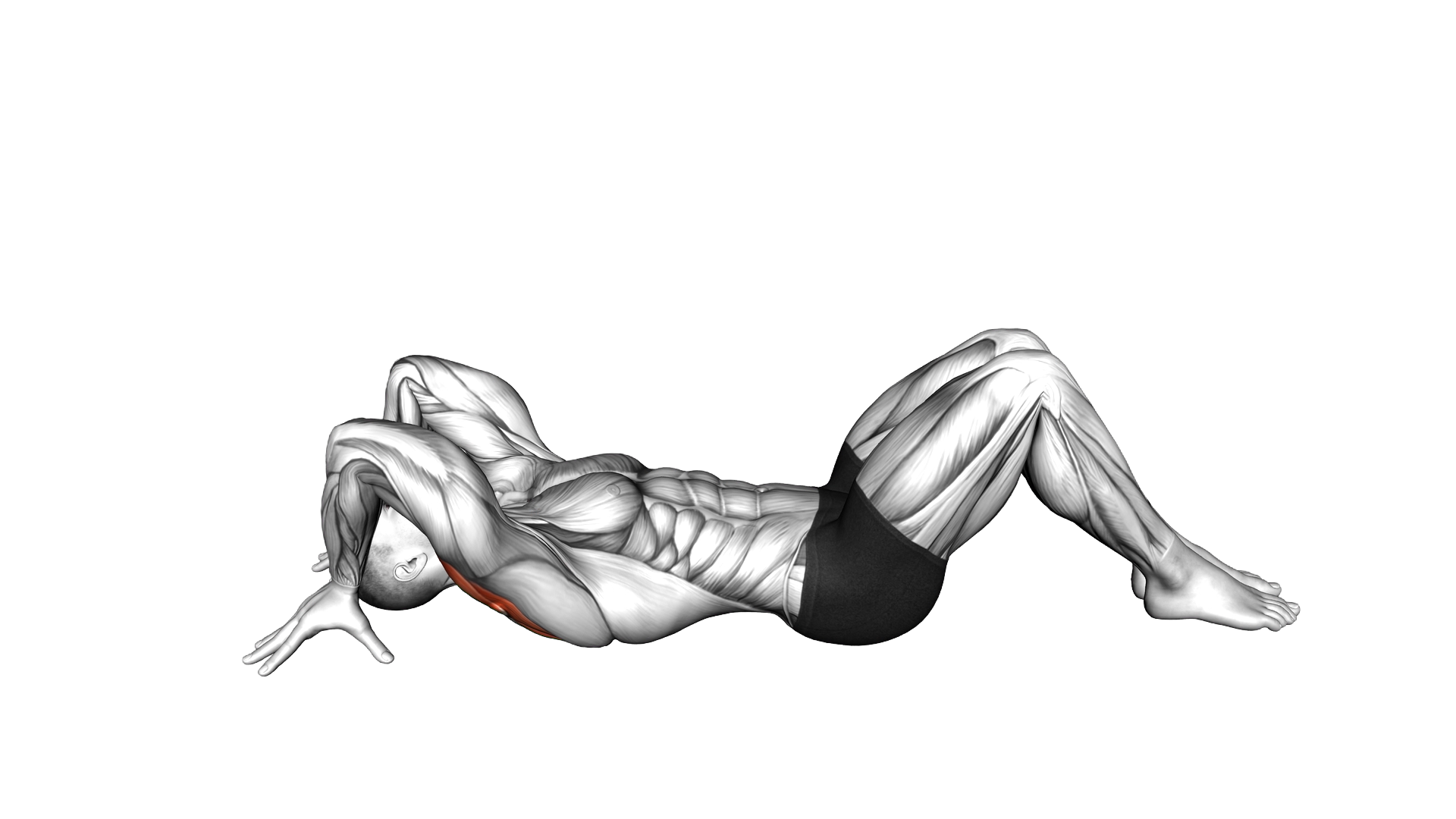 Lying Reverse Push up exercise demonstration
