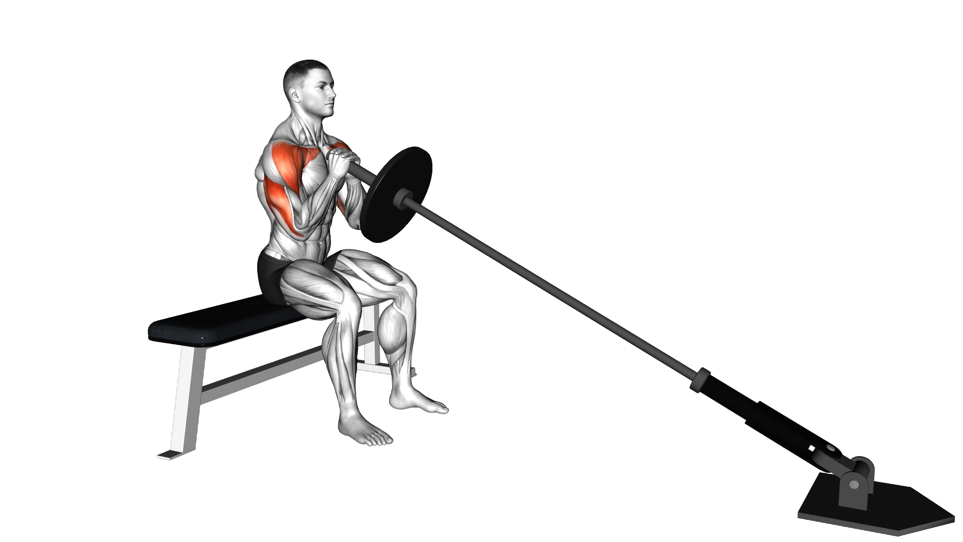 Landmine Seated Shoulder Press exercise demonstration