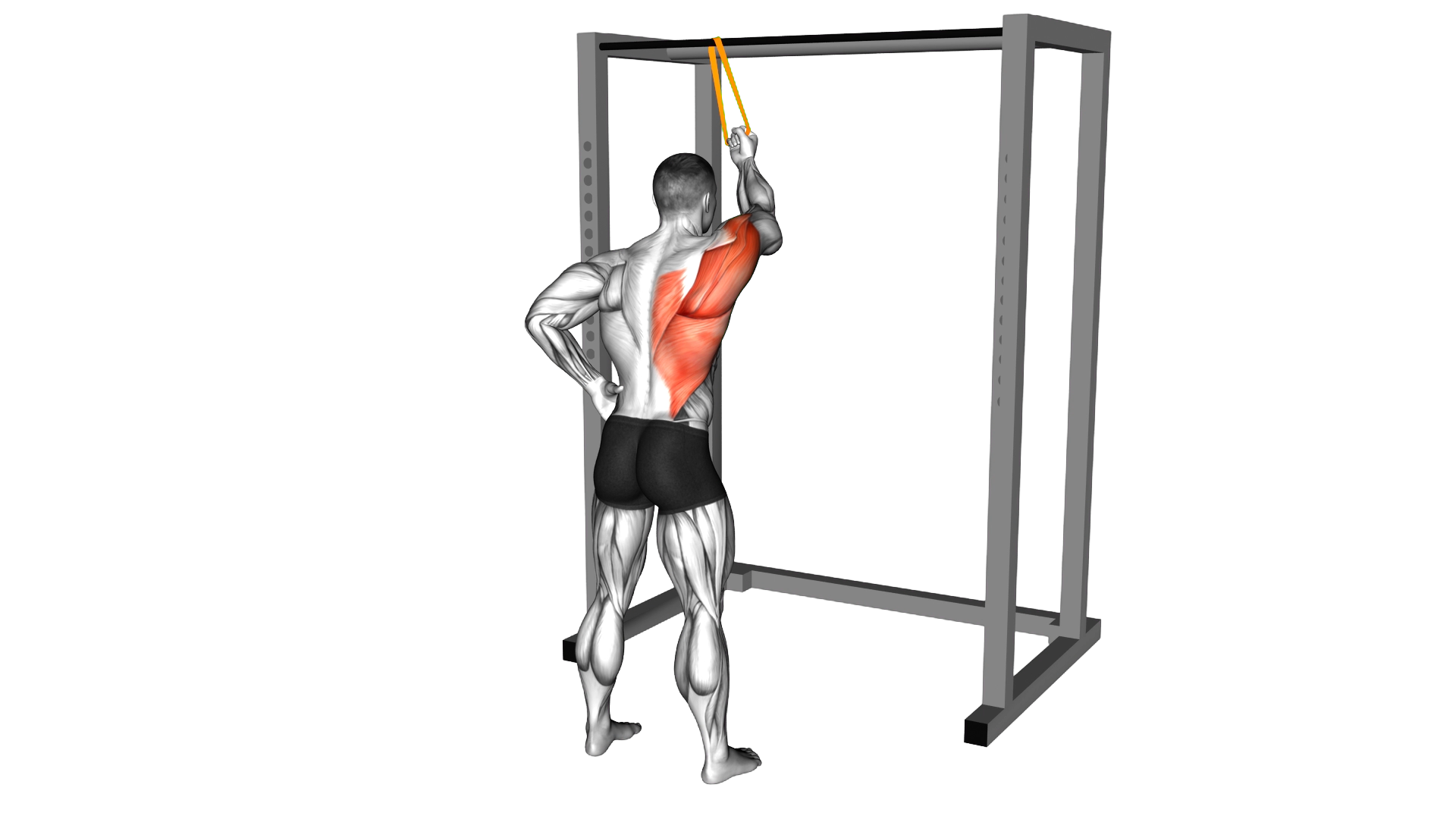 Resistance Band Cross Body Single Straight Arm Supinated Pulldown exercise demonstration