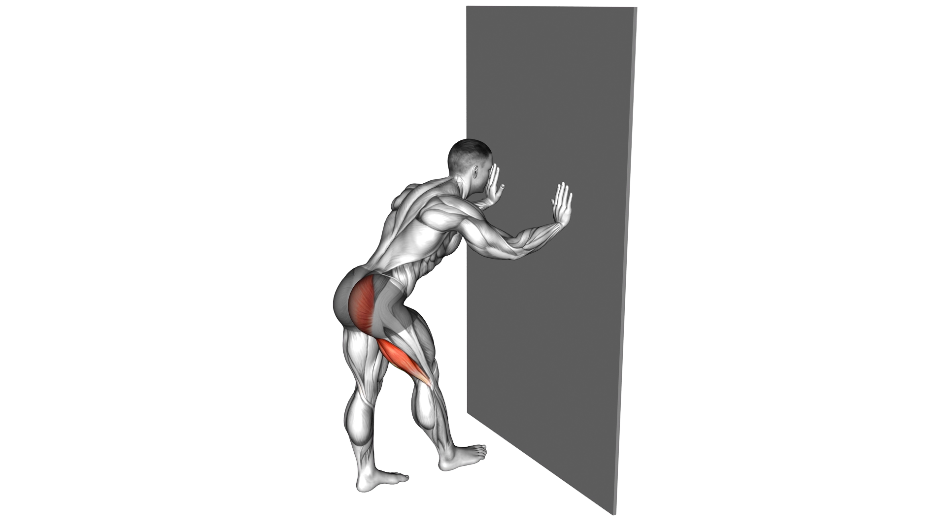 Bodyweight Standing Hip Extension exercise demonstration