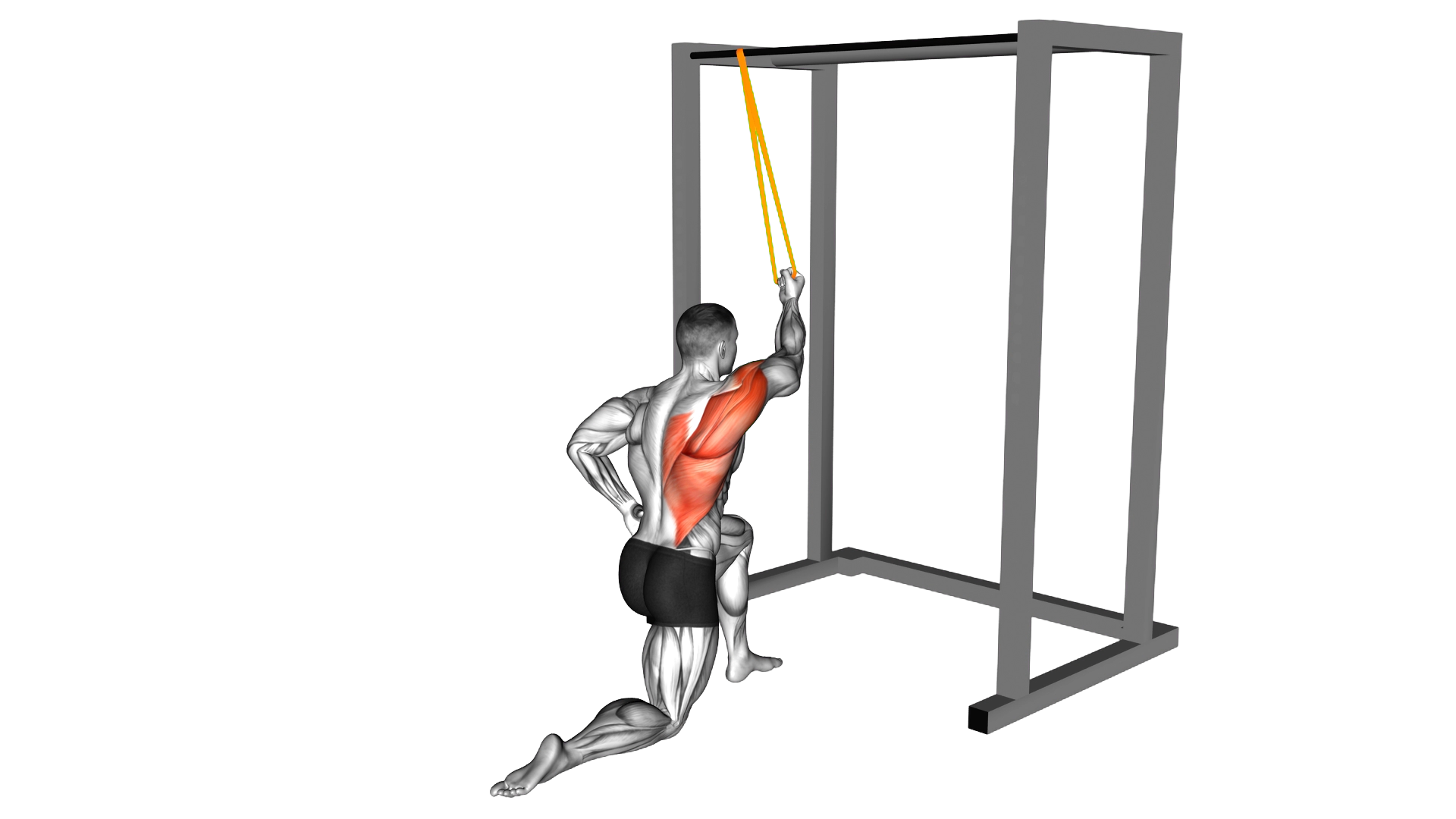 Resistance Band Kneeling Cross Body Single Straight Arm Supinated Pulldown exercise demonstration