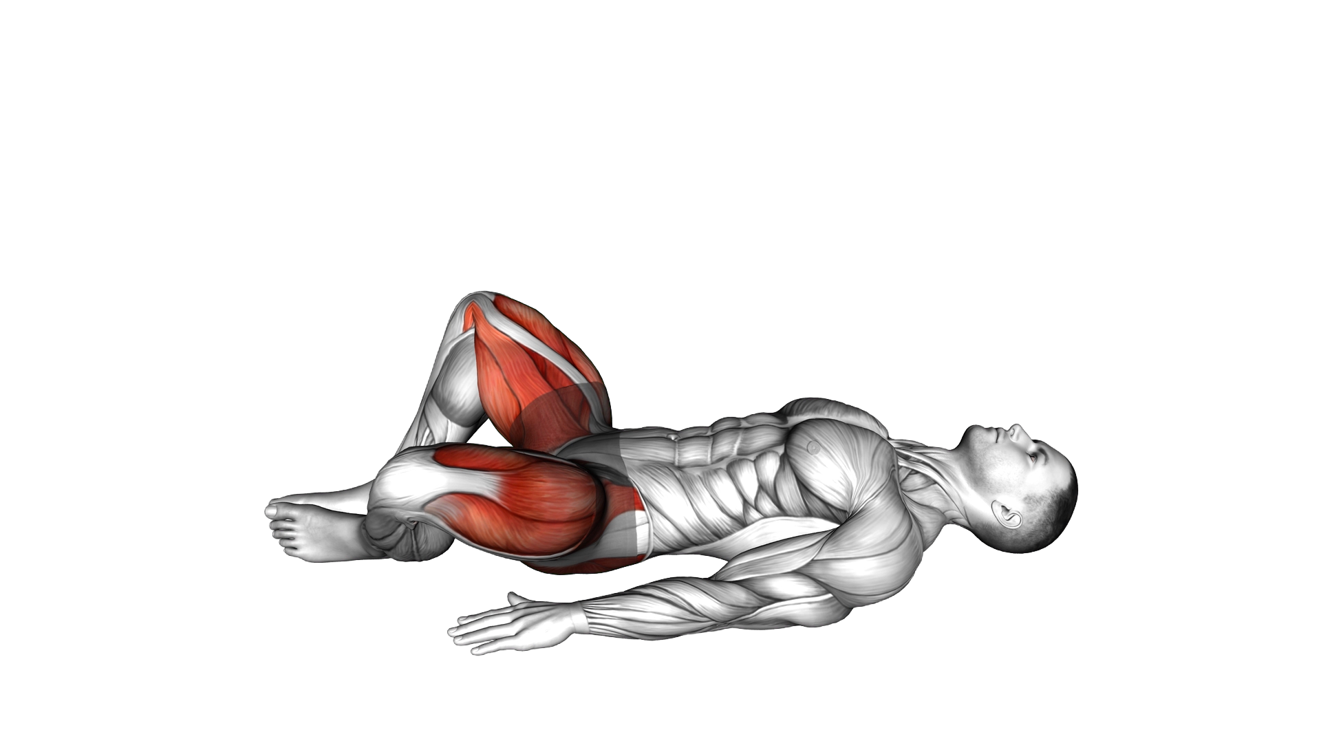Bodyweight Frog Hip Thrust exercise demonstration