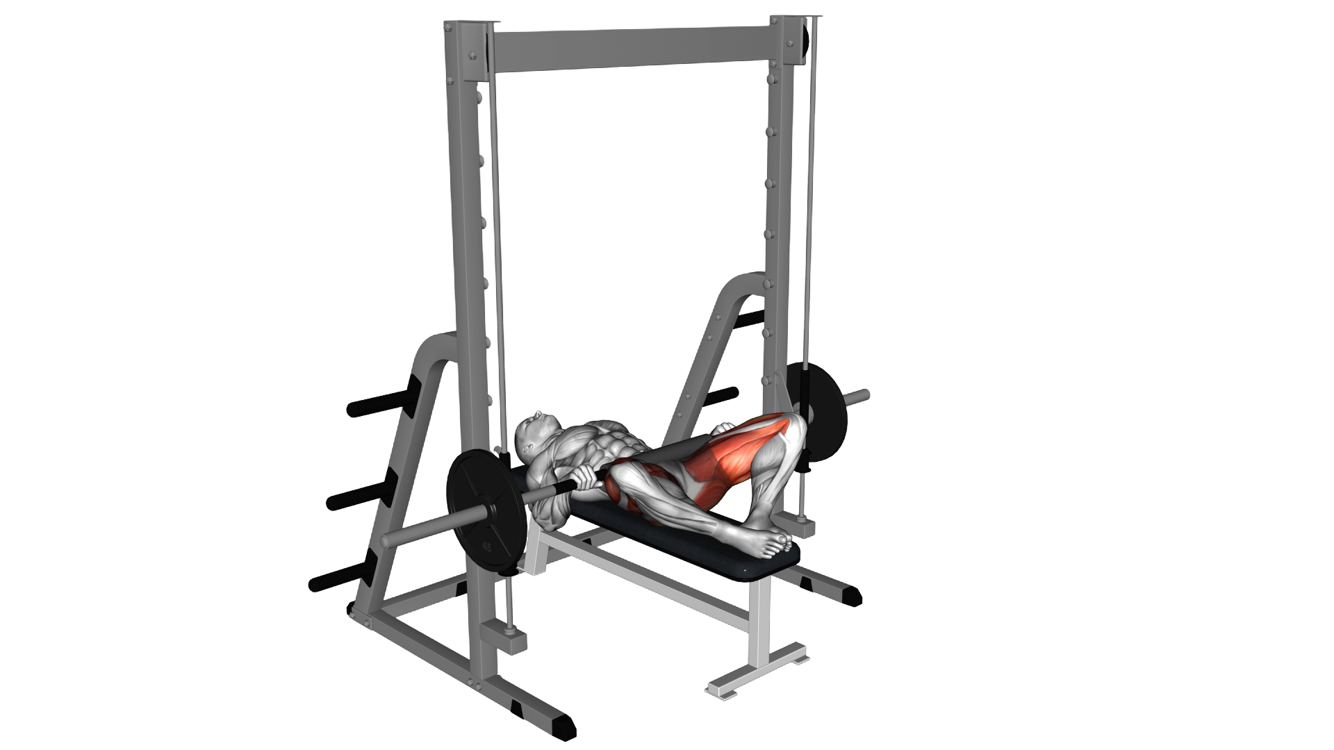 Smith Frog Hip Thrust exercise demonstration