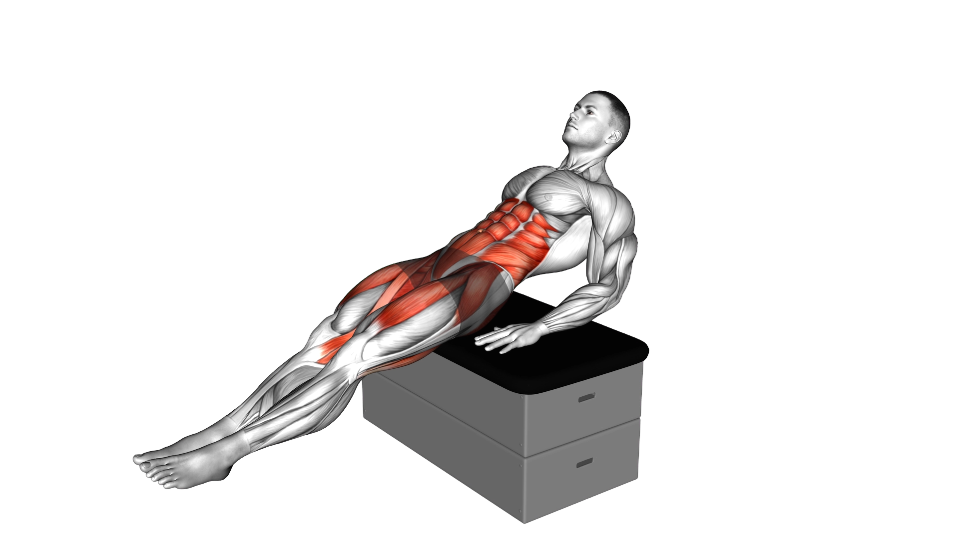 Sitting Frog Crunch on a padded stool exercise demonstration