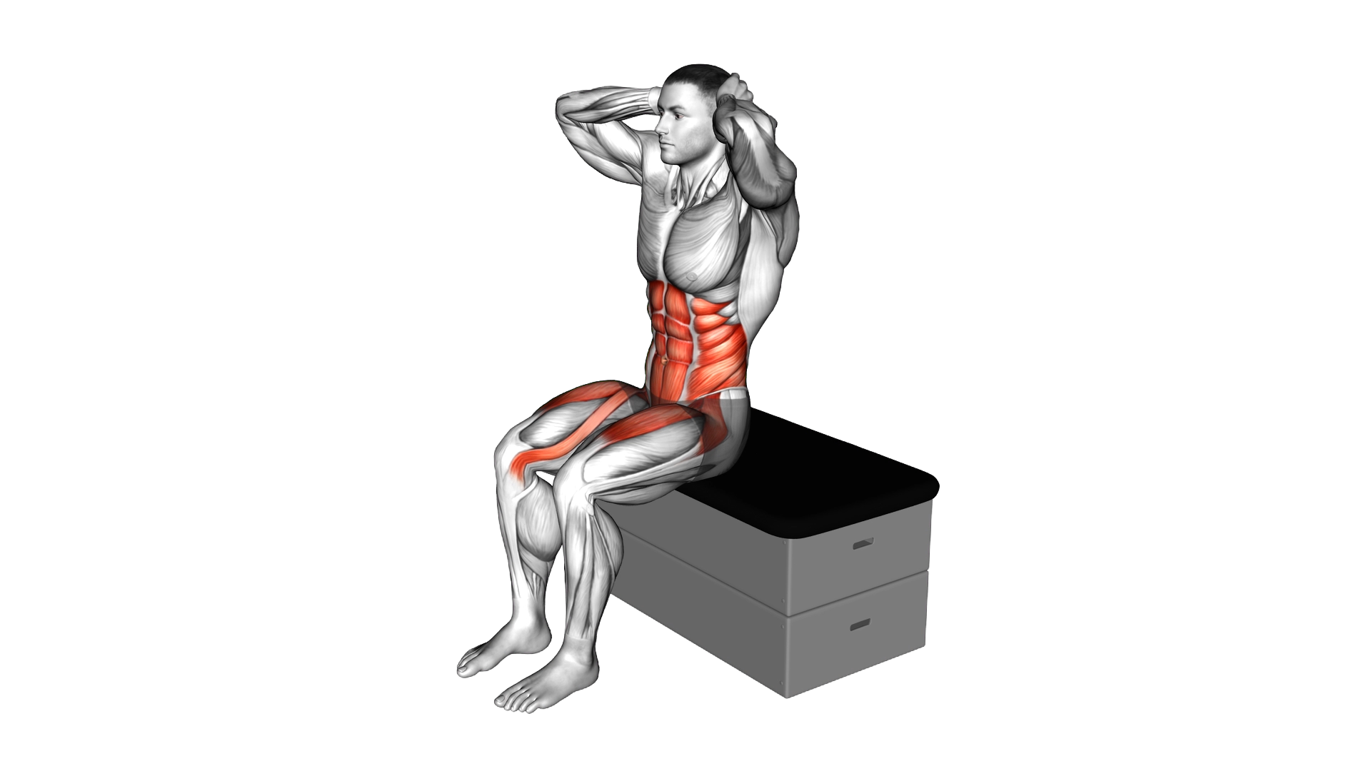 Sitting Twist Knee Raise on a padded stool exercise demonstration