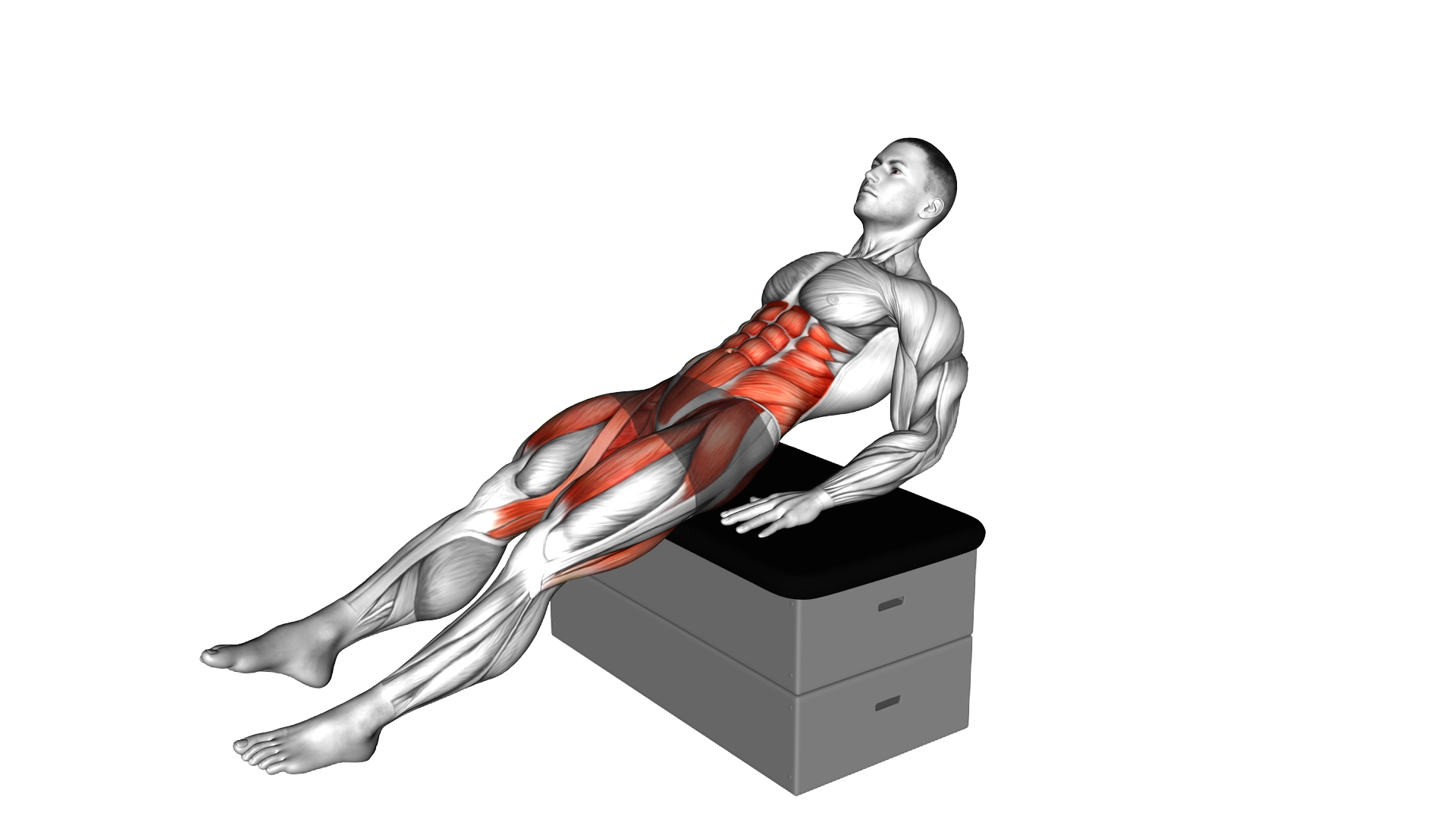 Sitting Scissors Lift Crunch on a padded stool exercise demonstration