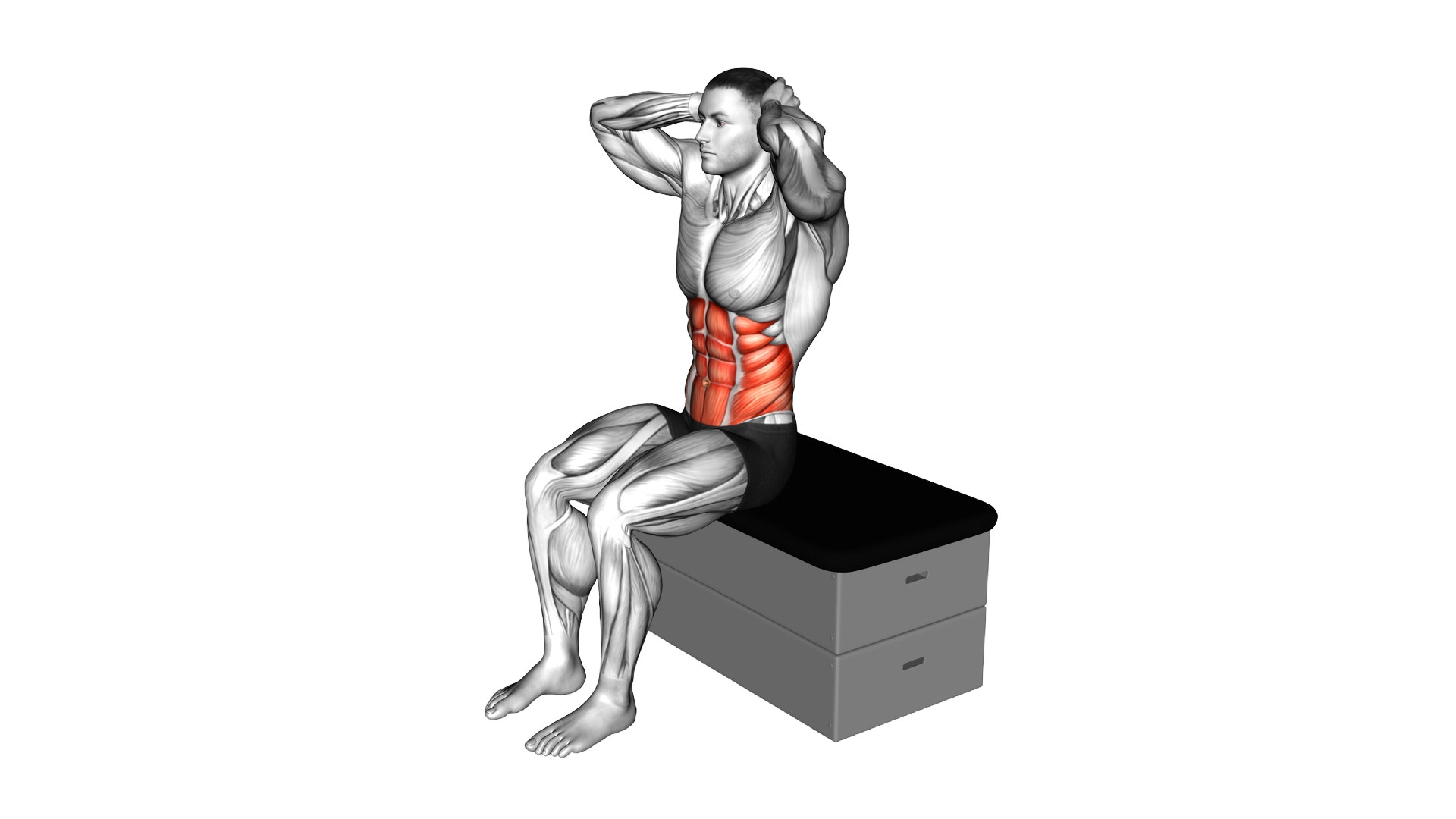 Sitting Side Bend on a padded stool exercise demonstration