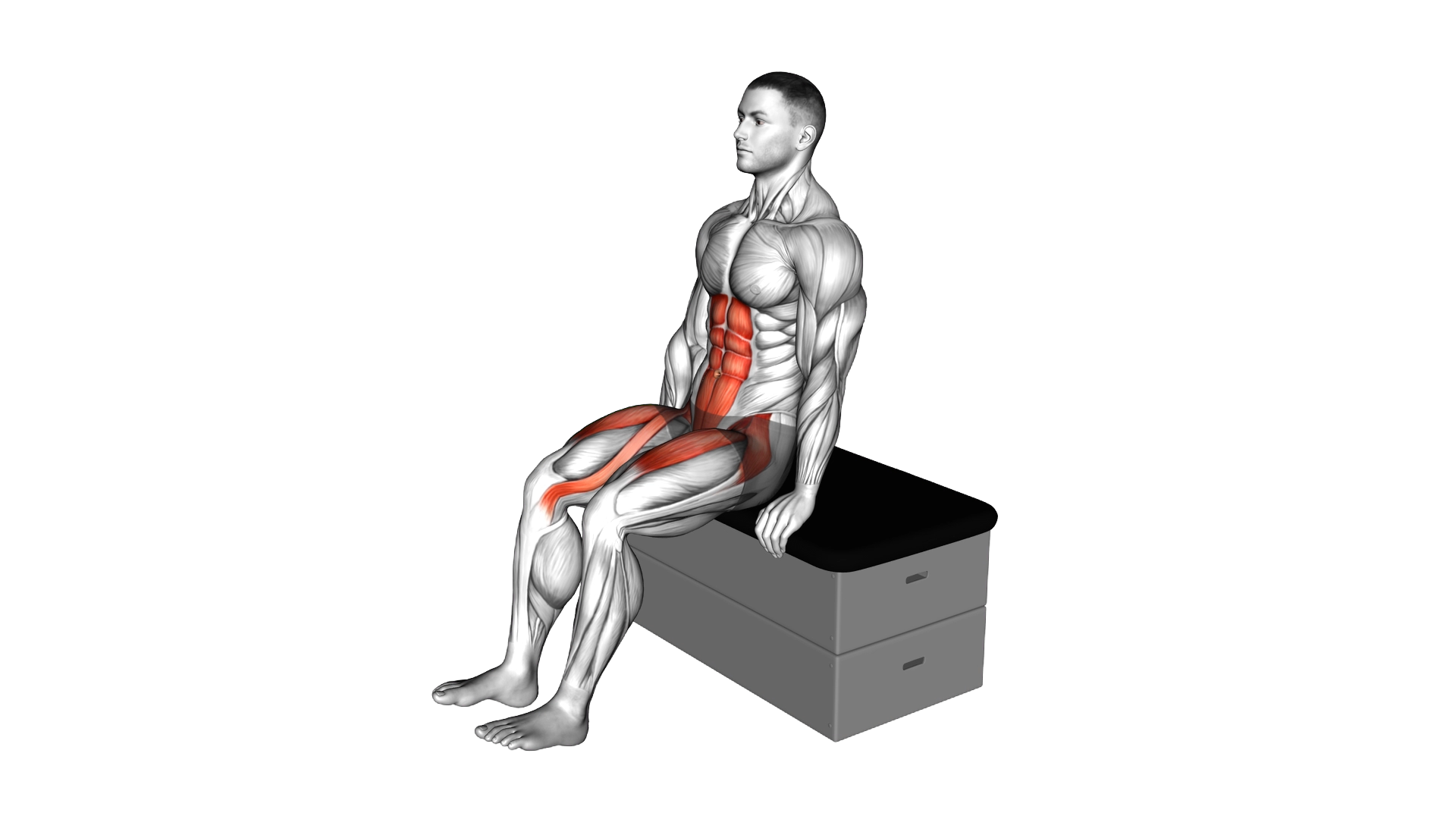 Sitting Knee Tuck on a padded stool exercise demonstration