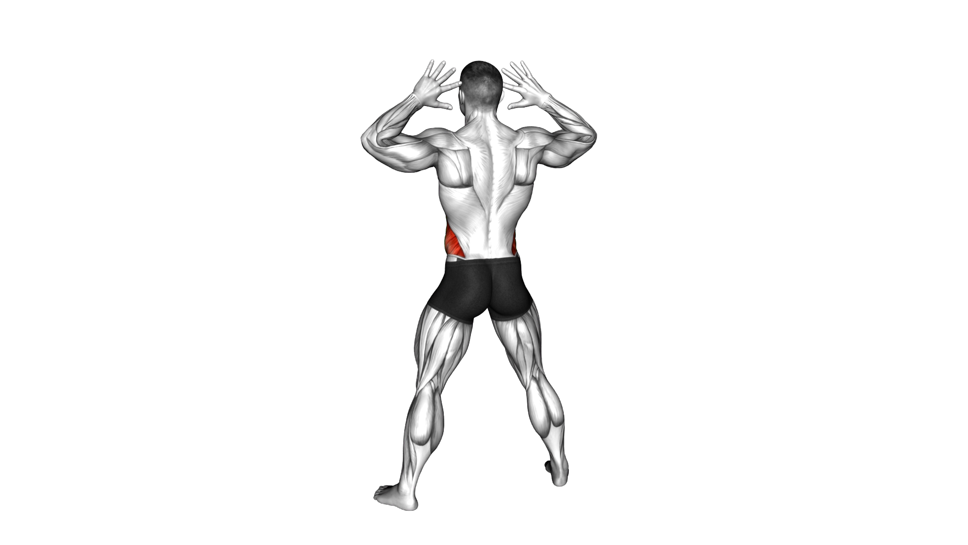 Ear to Knee Side Bend exercise demonstration