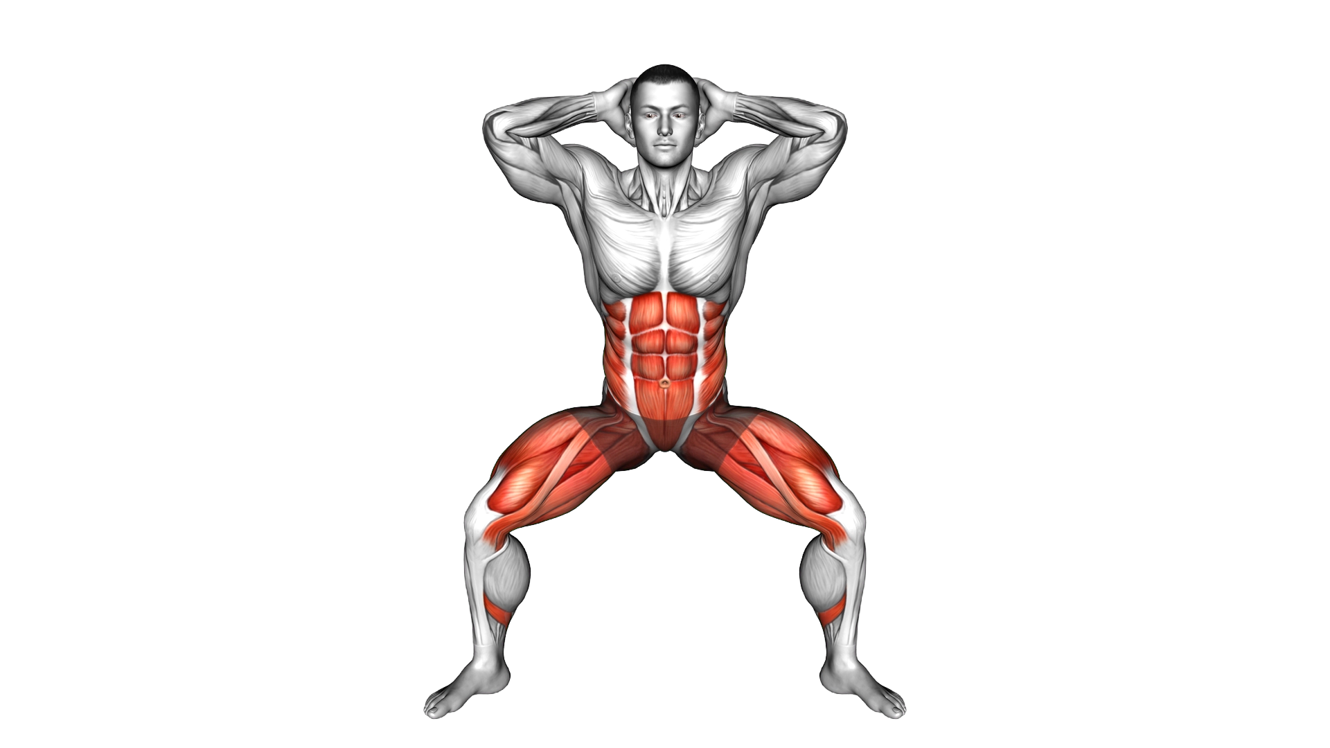 Half Squat Side Bend exercise demonstration