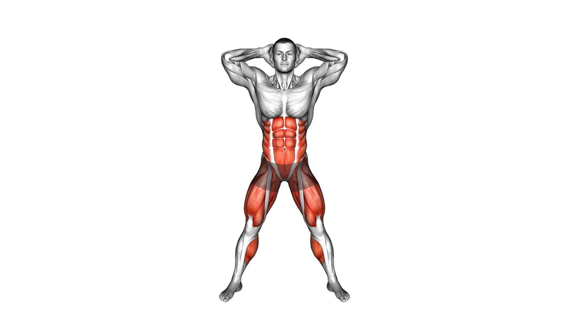 Double Twist Knee Up exercise demonstration