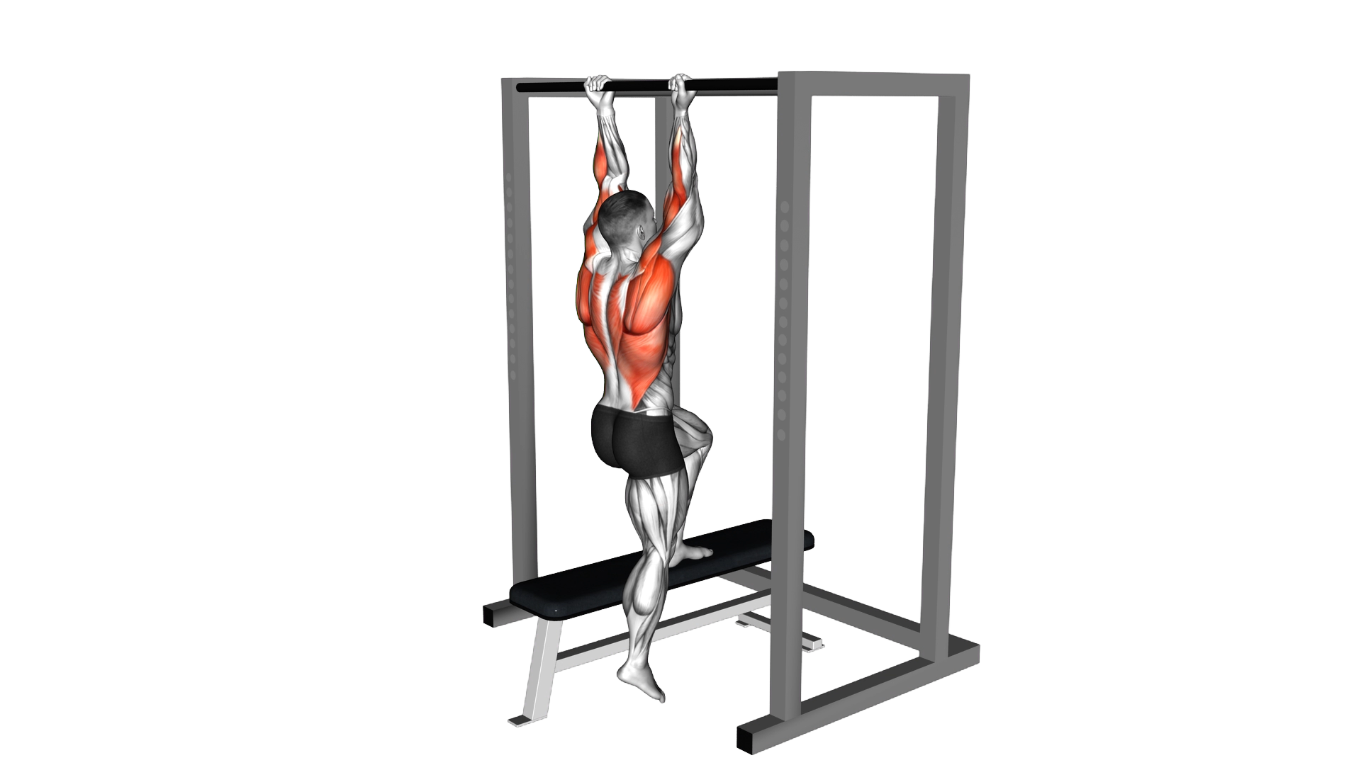 Assisted Chin Up on a bench exercise demonstration