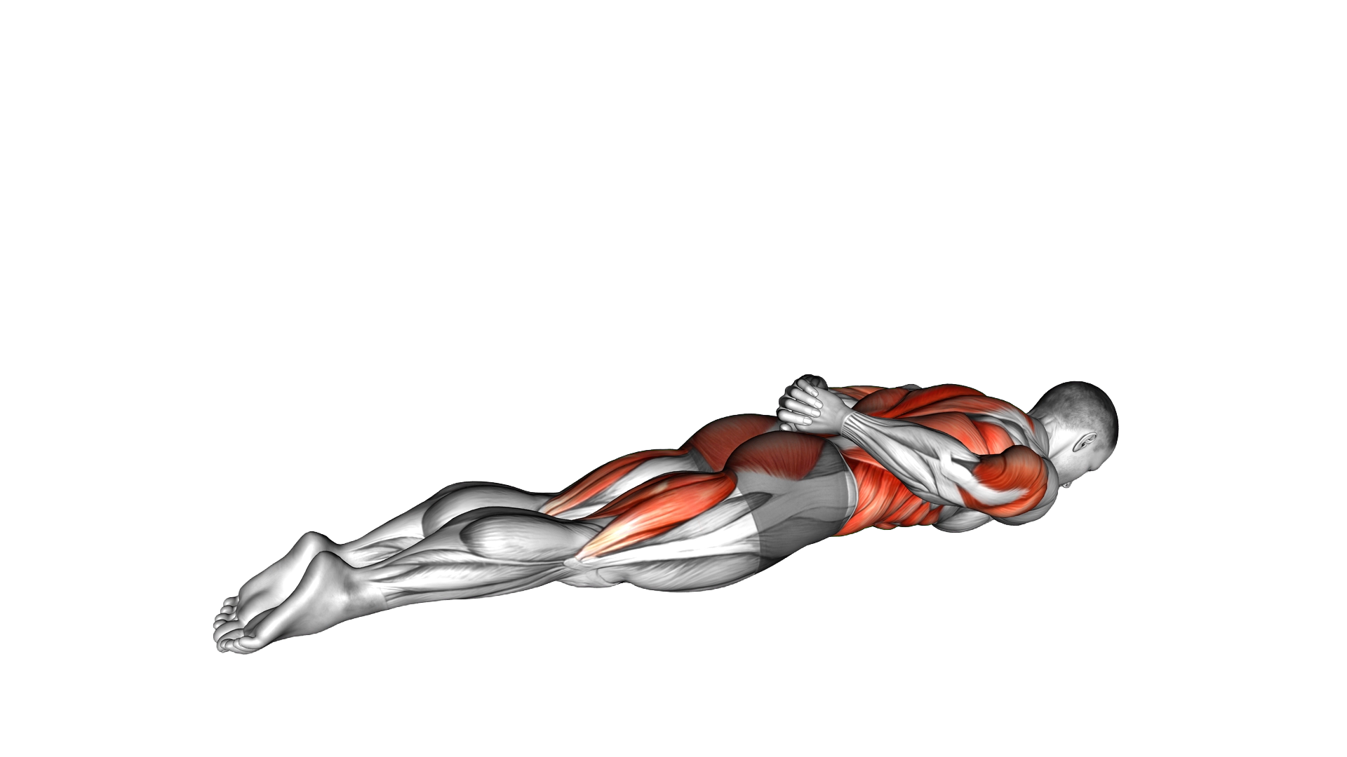 Lying Double Leg Kick exercise demonstration