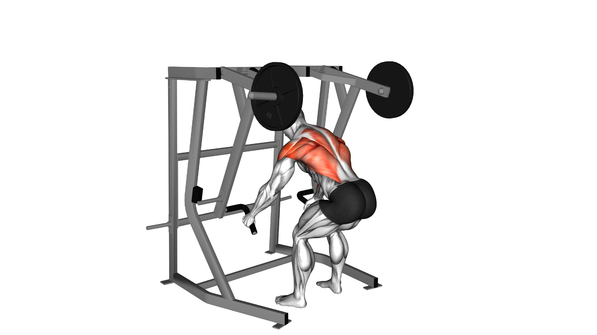 Lever Bent Over Low Row exercise demonstration