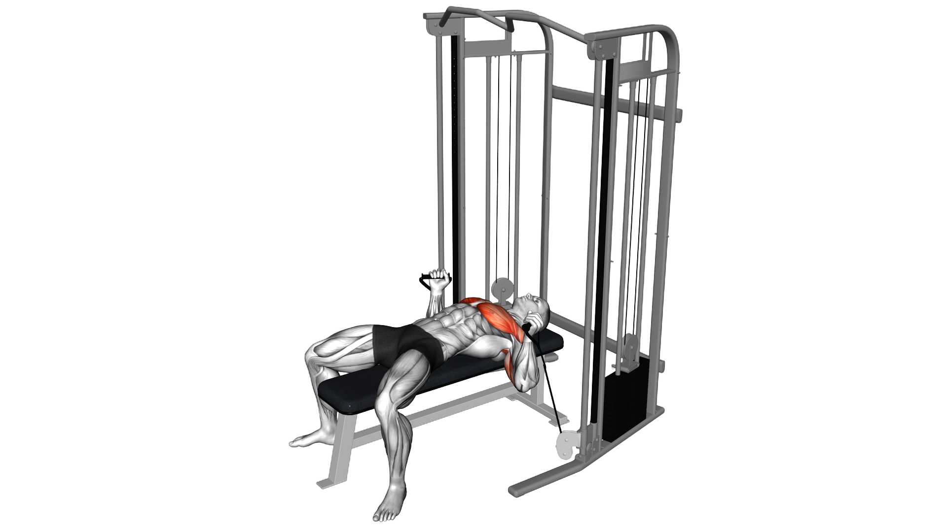 Cable Neutral grip Chest Press exercise demonstration