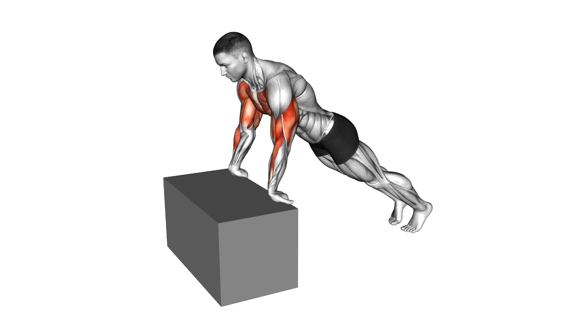Incline Reverse Push up exercise demonstration